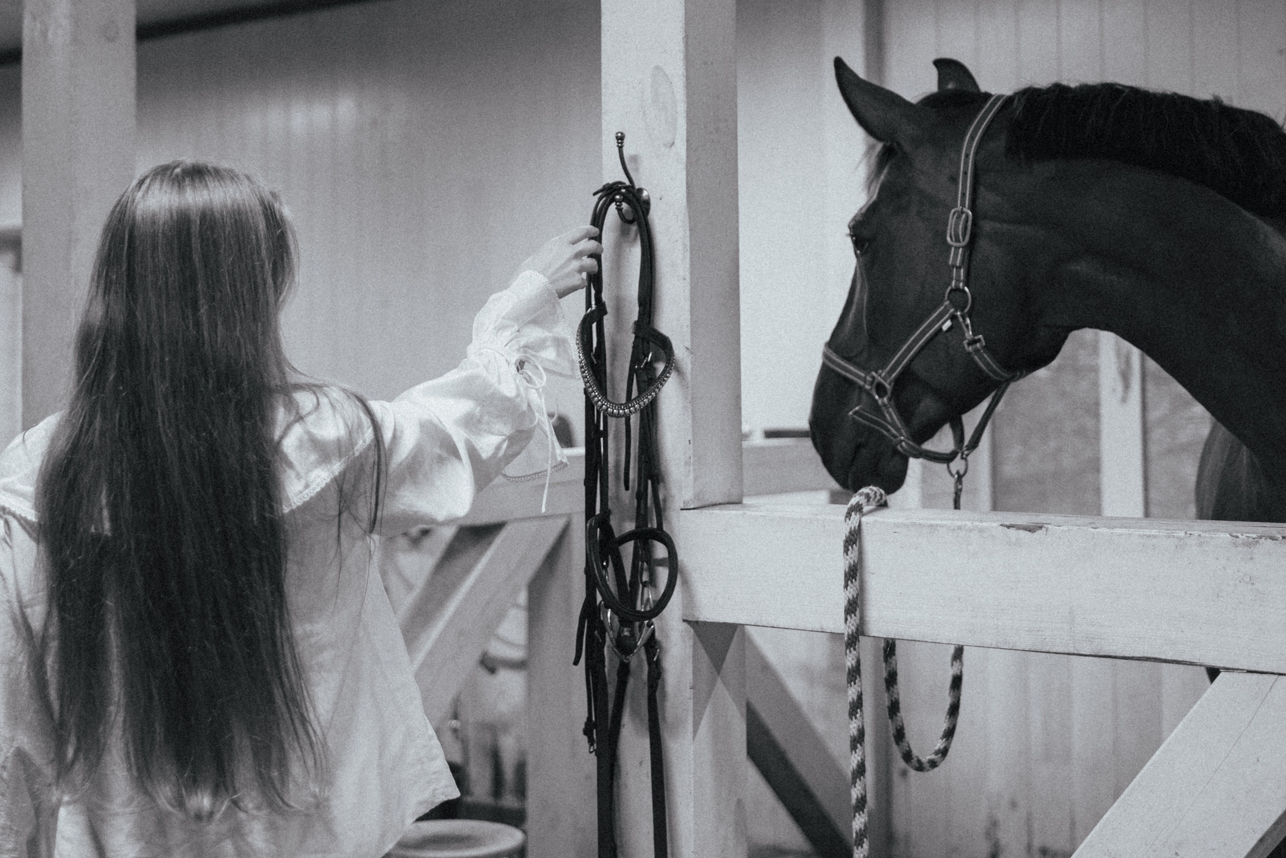 Соня и Лоли Поп. MariaGohri — Конный фотограф, анималист, Рязань
