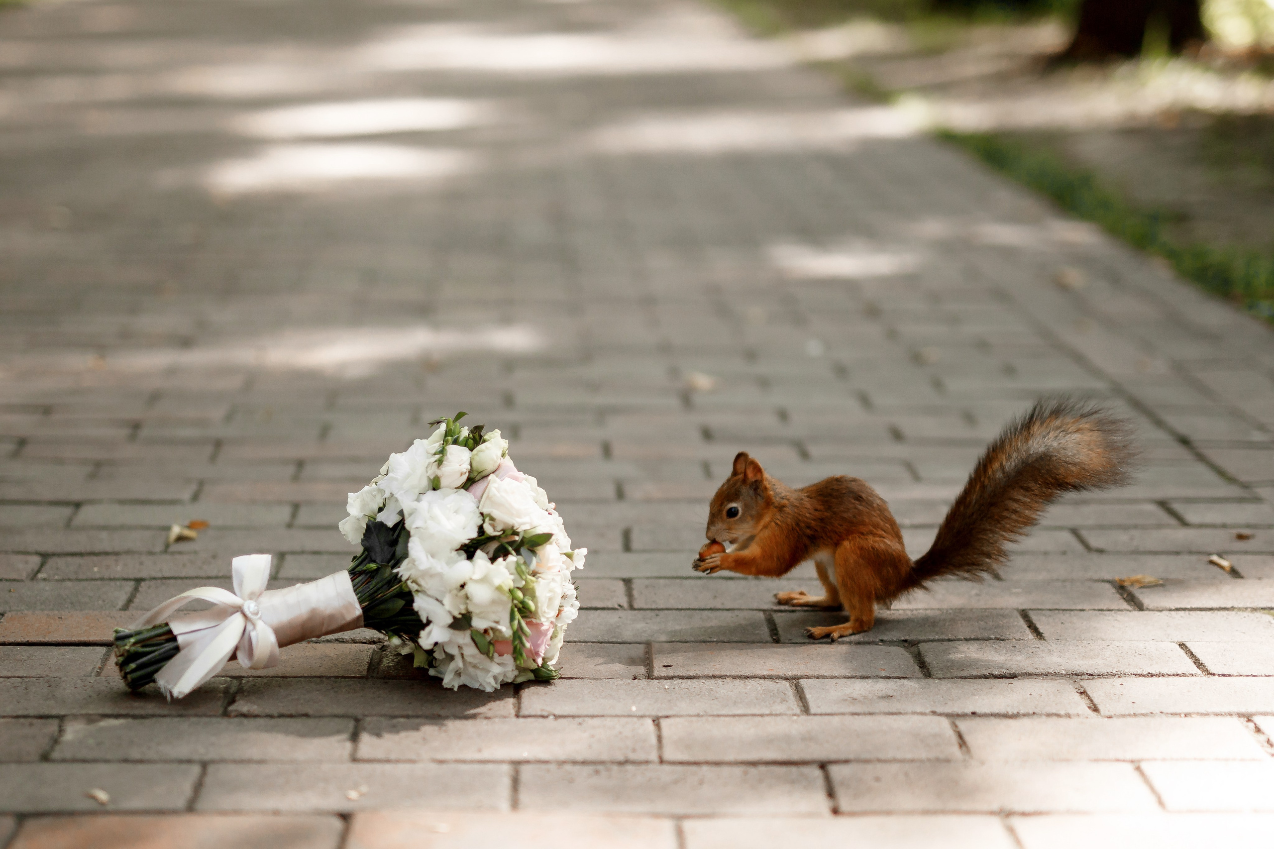 СЪёмка свадеб в Коврове и не только. Фотограф новорожденных, семейный, свадебный, детский фотограф в Коврове Алексей Холин