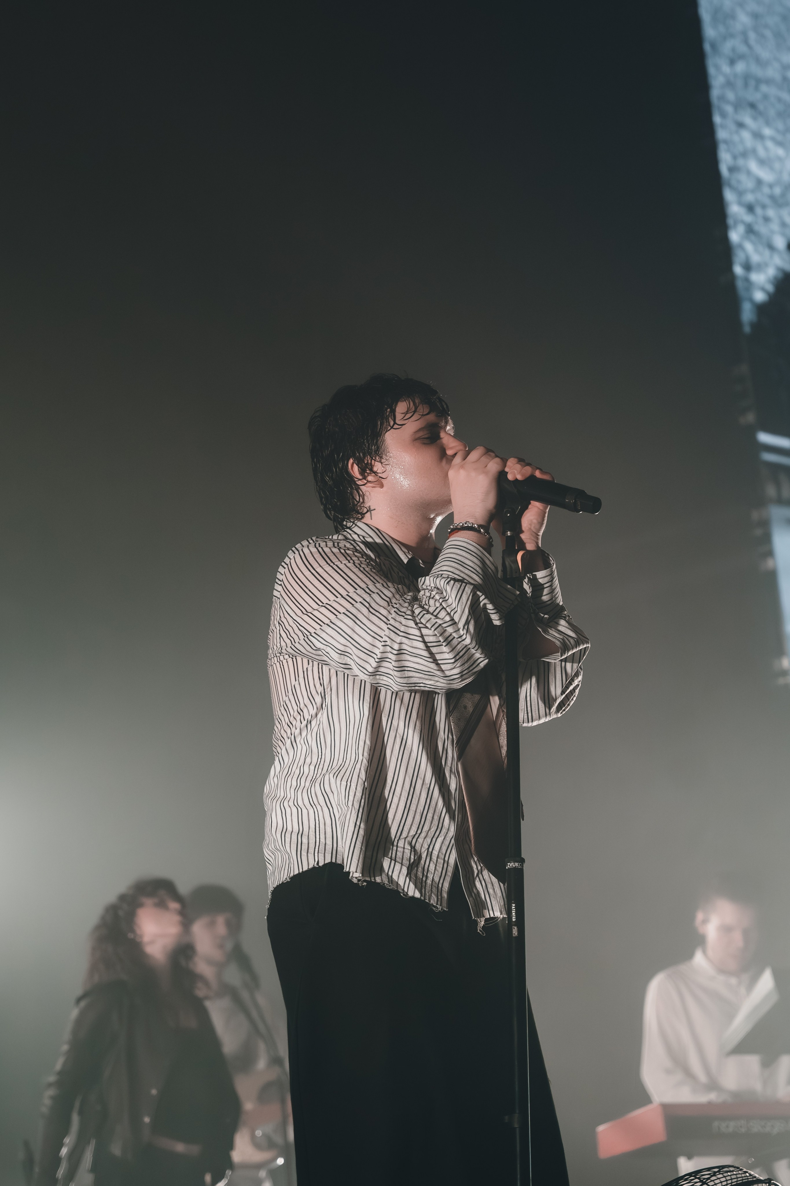 SALUKI. Фотограф Санкт-Петербурга