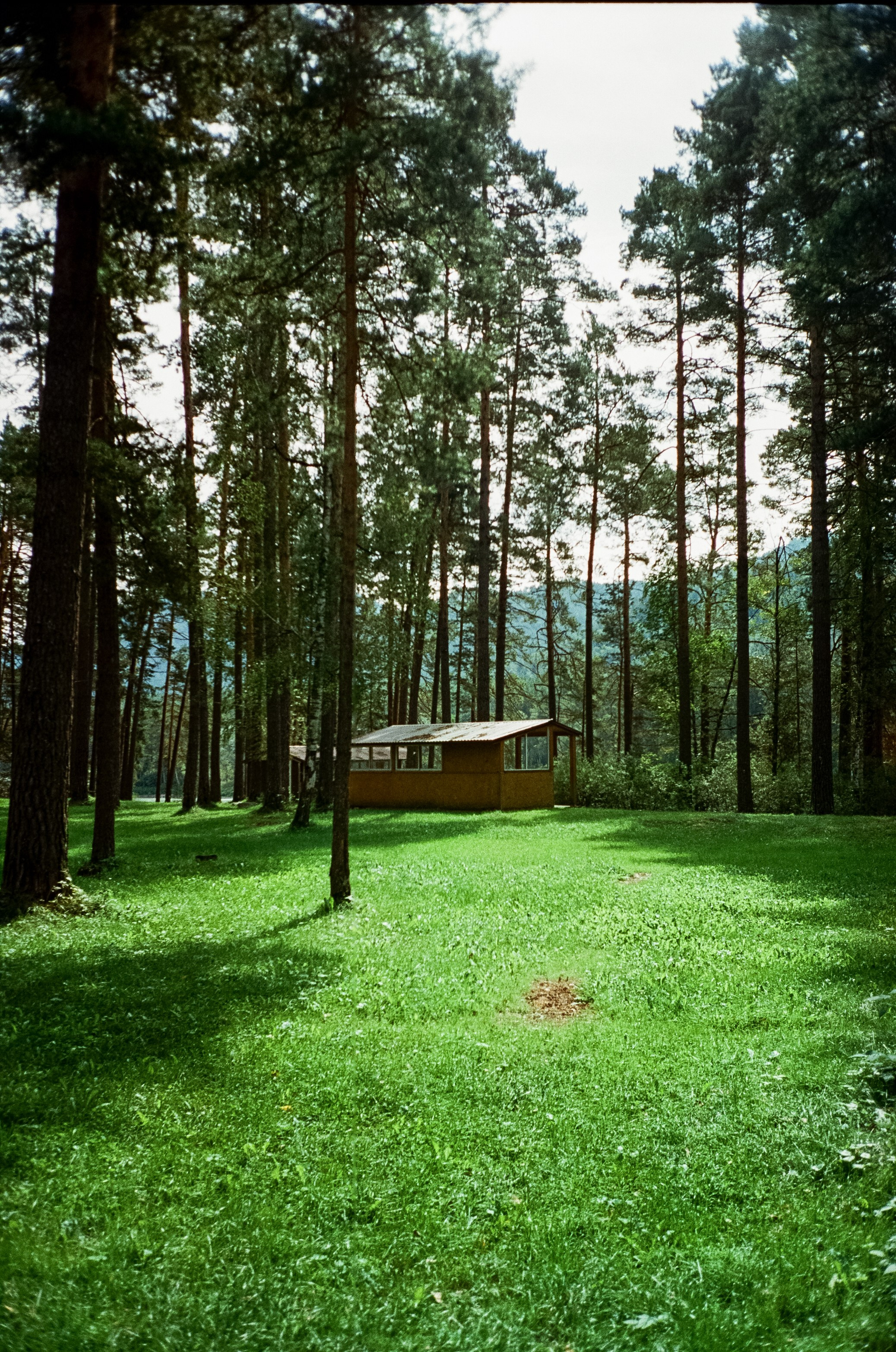 По Чемальскому тракту от Кедрового острова до реки Куюм. Фотограф-документалист Мария Осокина