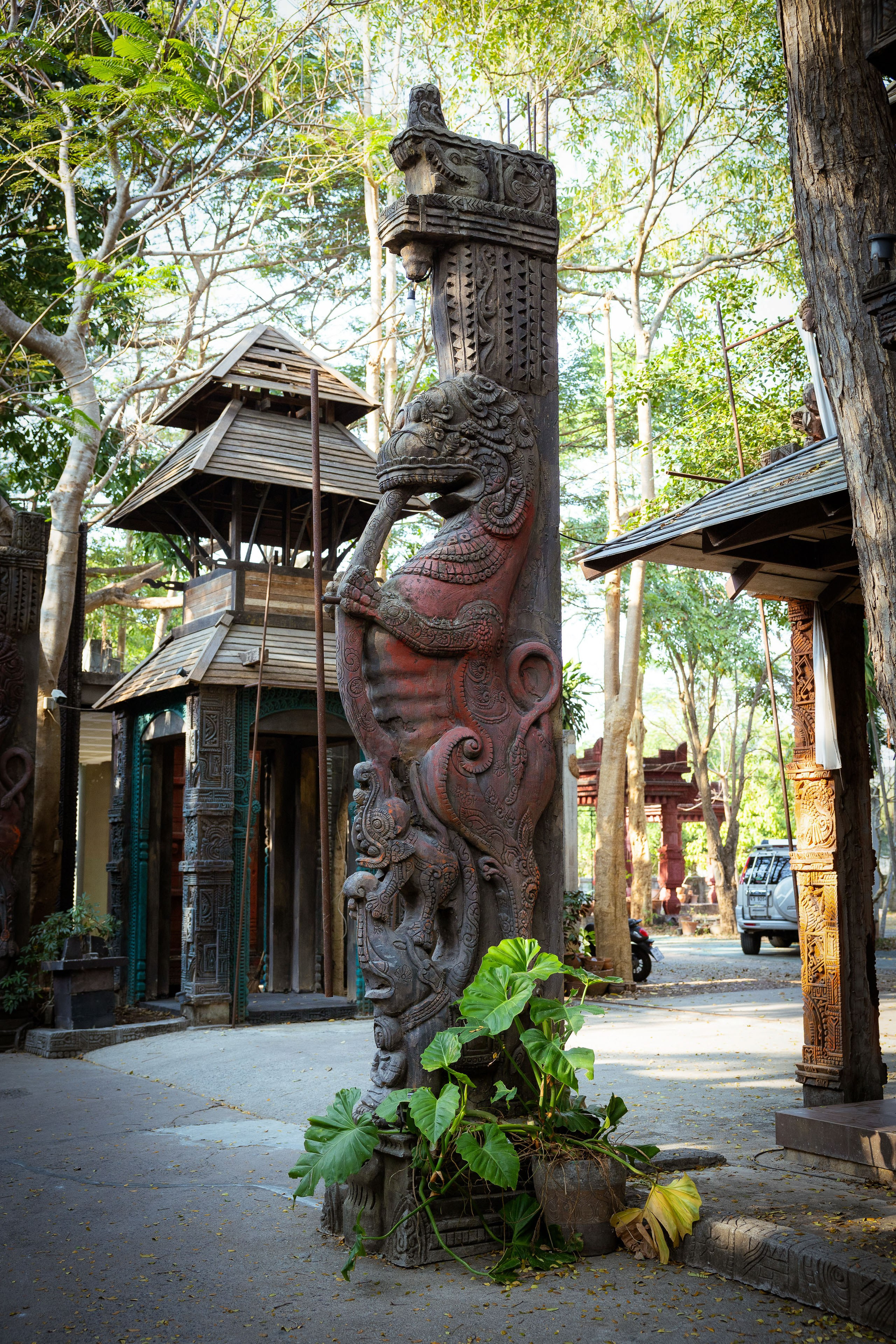 Таиланд (зима 2025). Фотограф Виноградов Константин