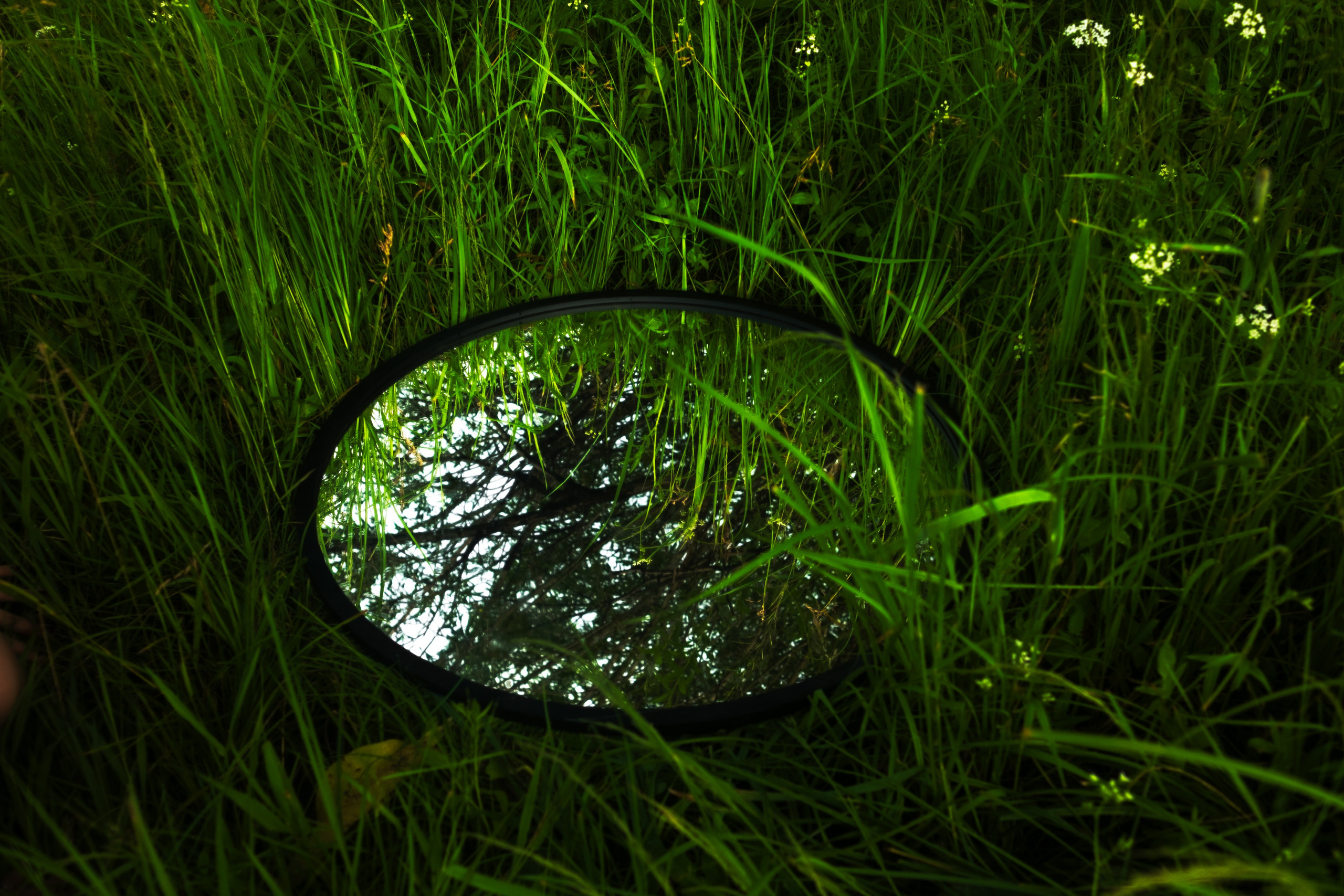 Зеркало и Настя. Фотограф Коробова Екатерина