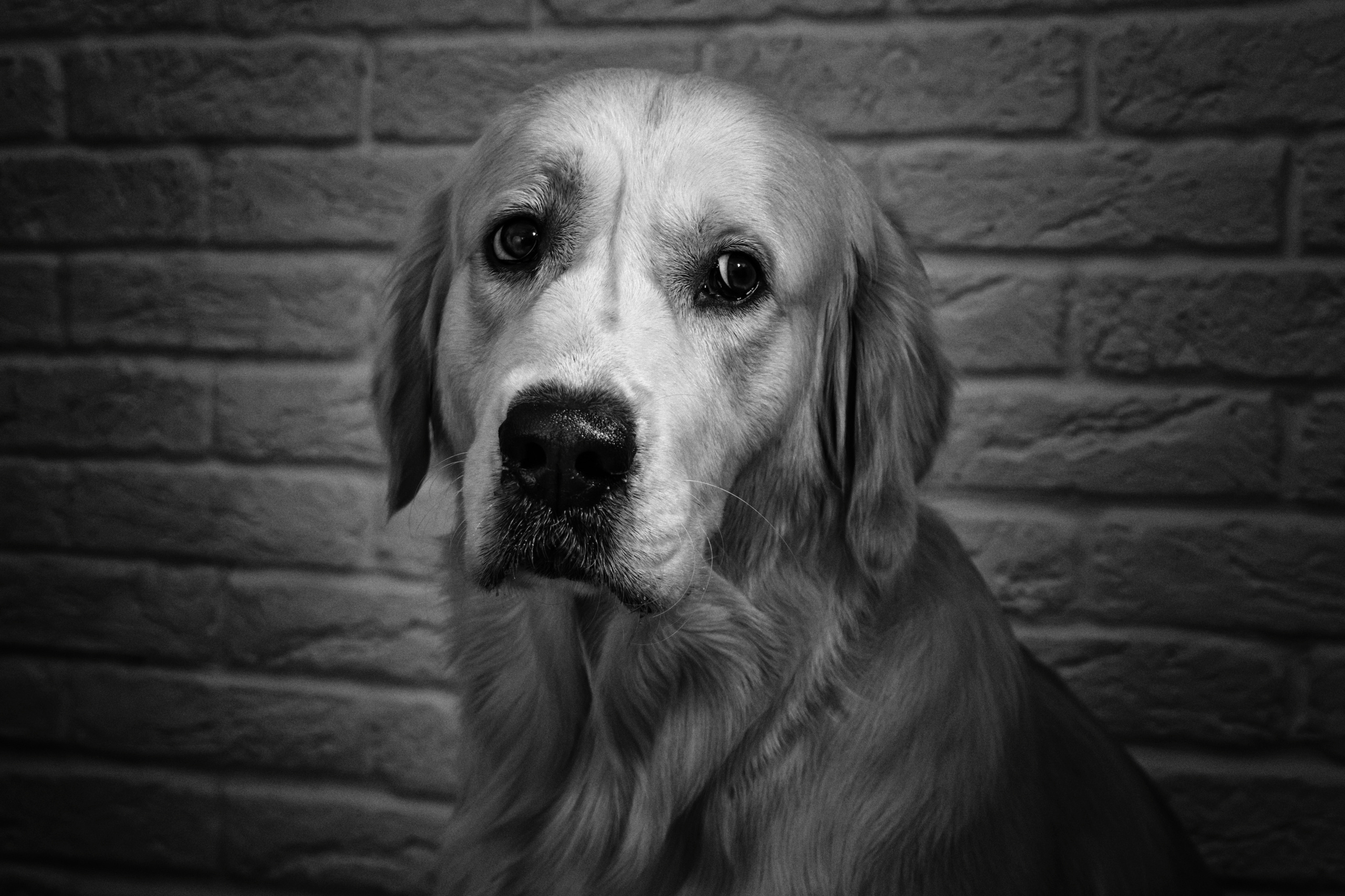 Черно белая фотография. Профессиональный фотограф в Астане