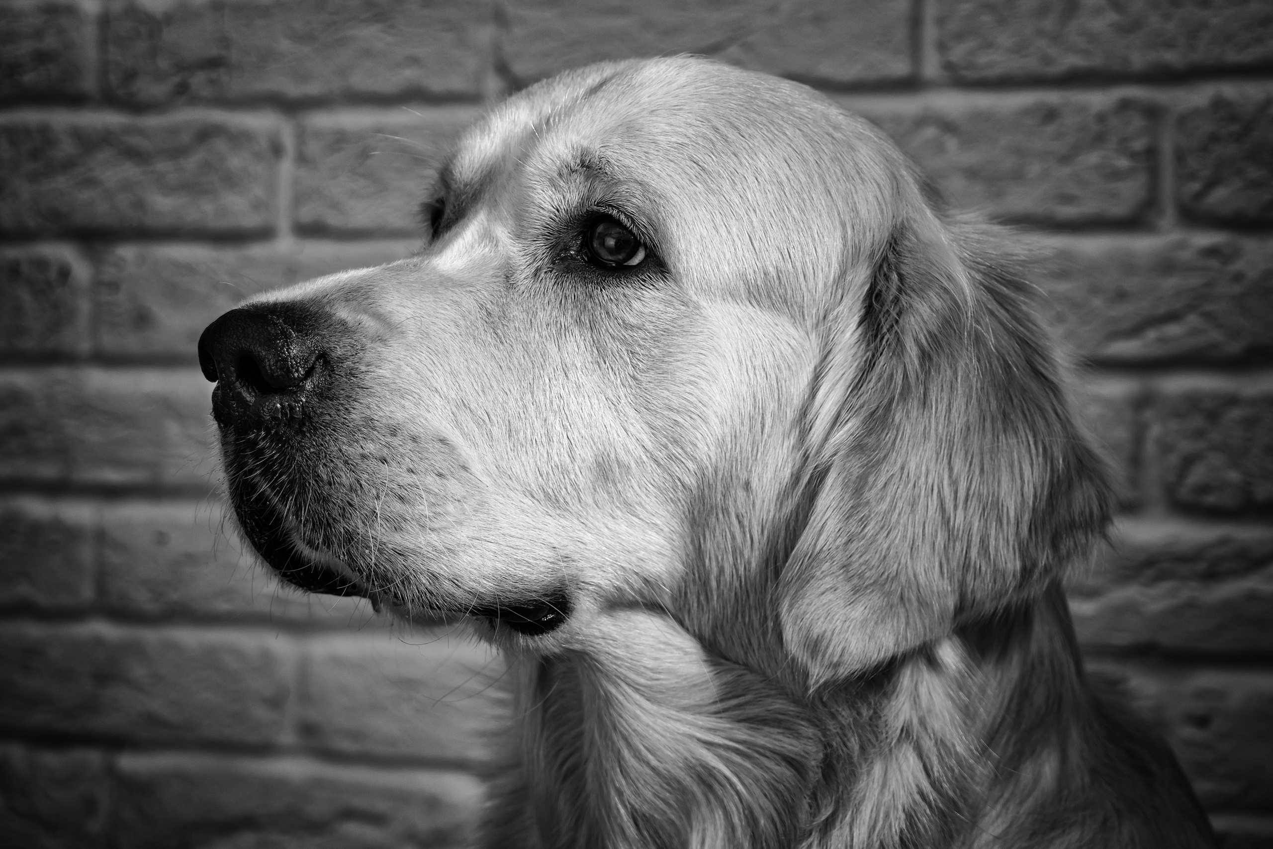 Черно белая фотография. Профессиональный фотограф в Астане