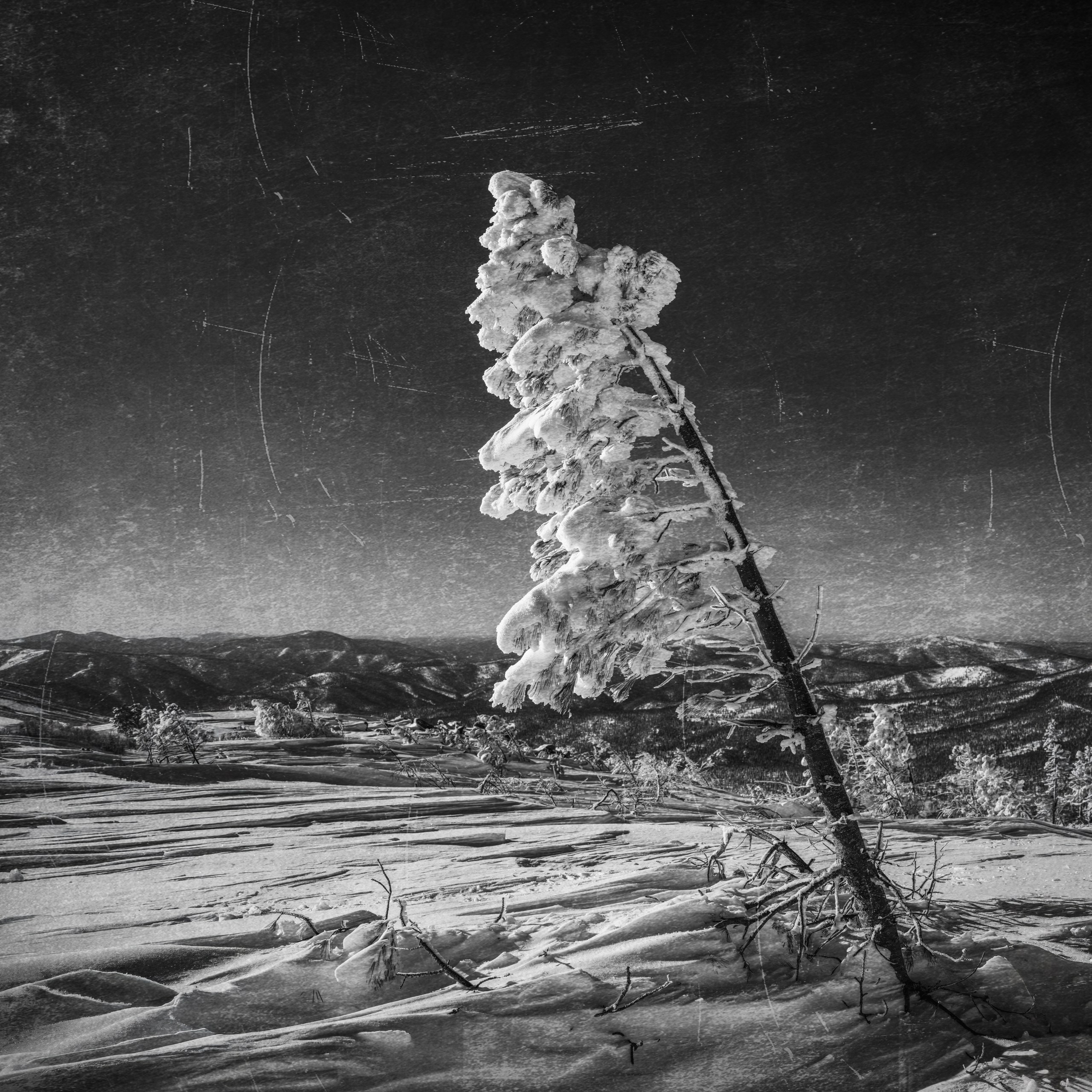 Фотопроект «Один к одному». Арт-фотограф Михаил «Данко»», г. Новосибирск