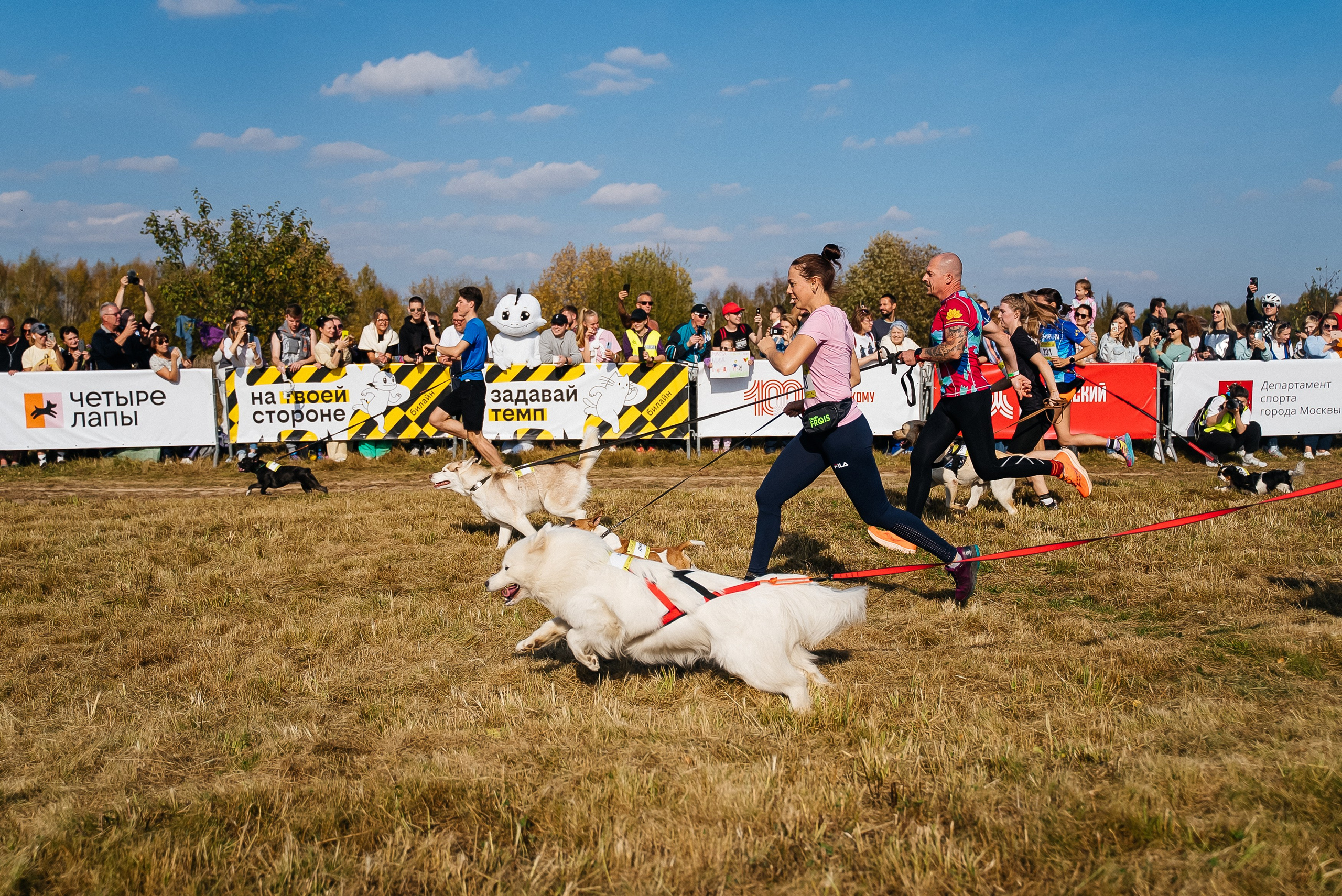 Билайн. Павел Краснов — Свадебный и репортажный фотограф в Москве