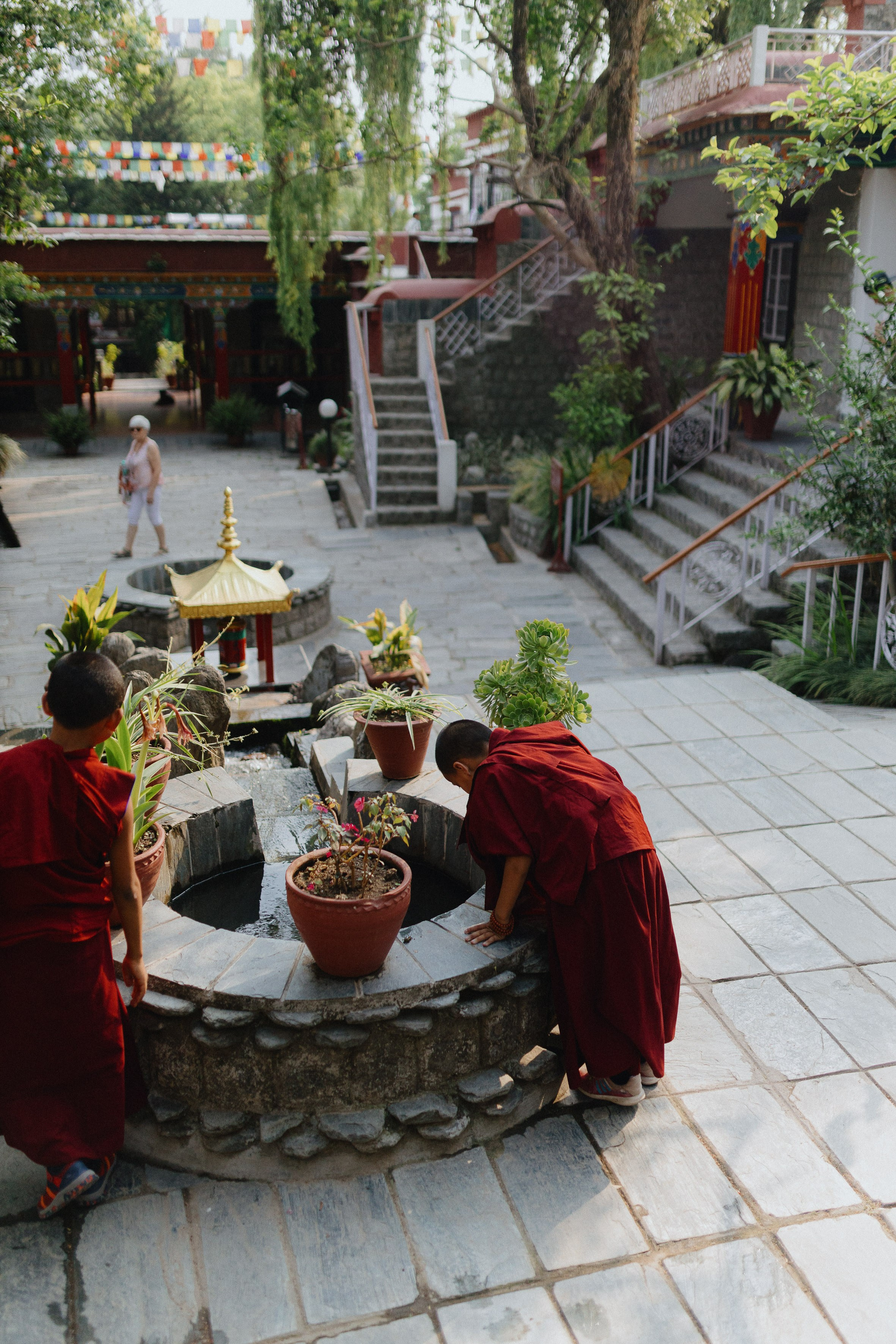 Экскурсия в резиденцию Далай Ламы с Косом и Лу. Фотограф Ольхон/ Индия, Регина