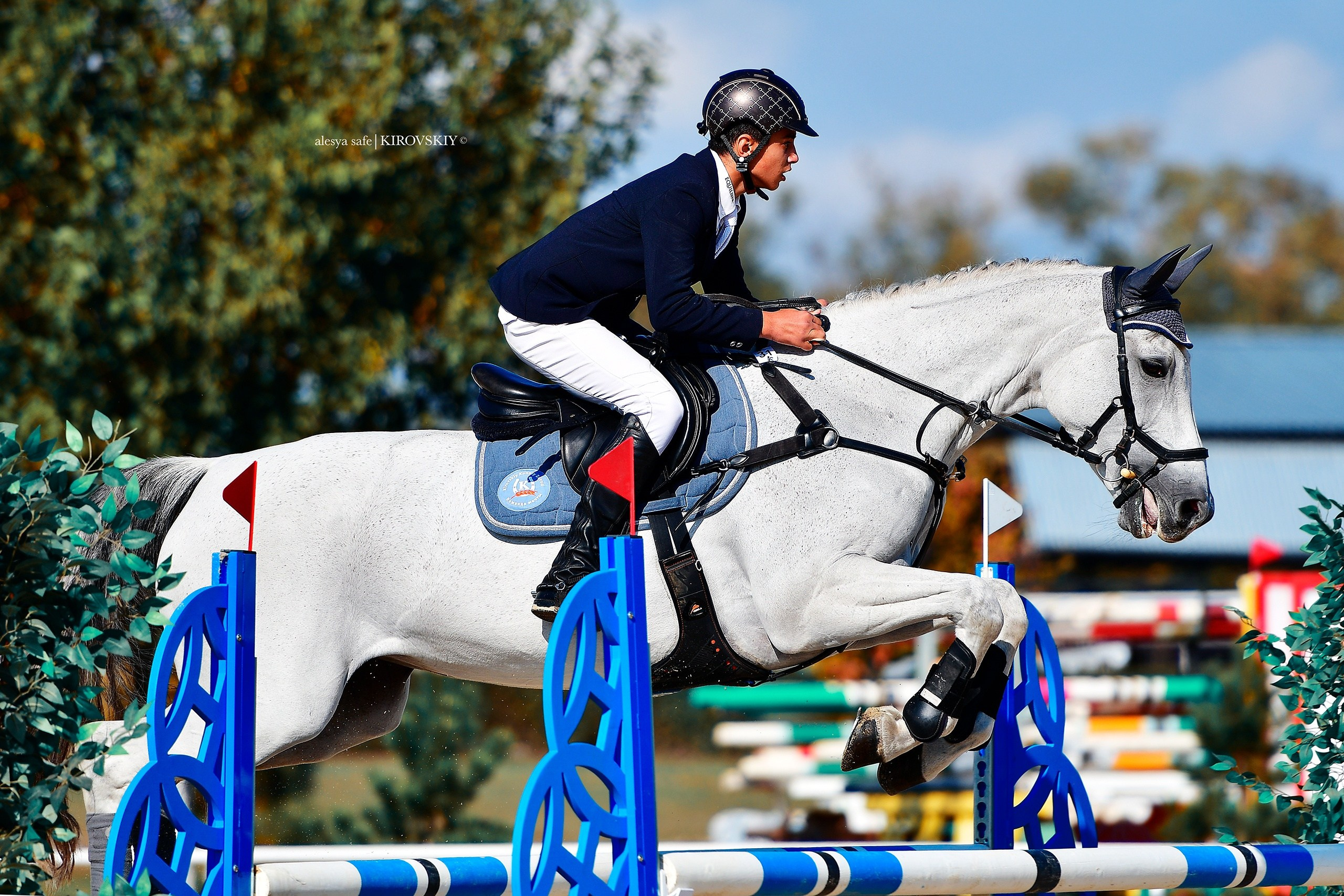 Кировский конный завод. Конный фотограф Alesya Safe