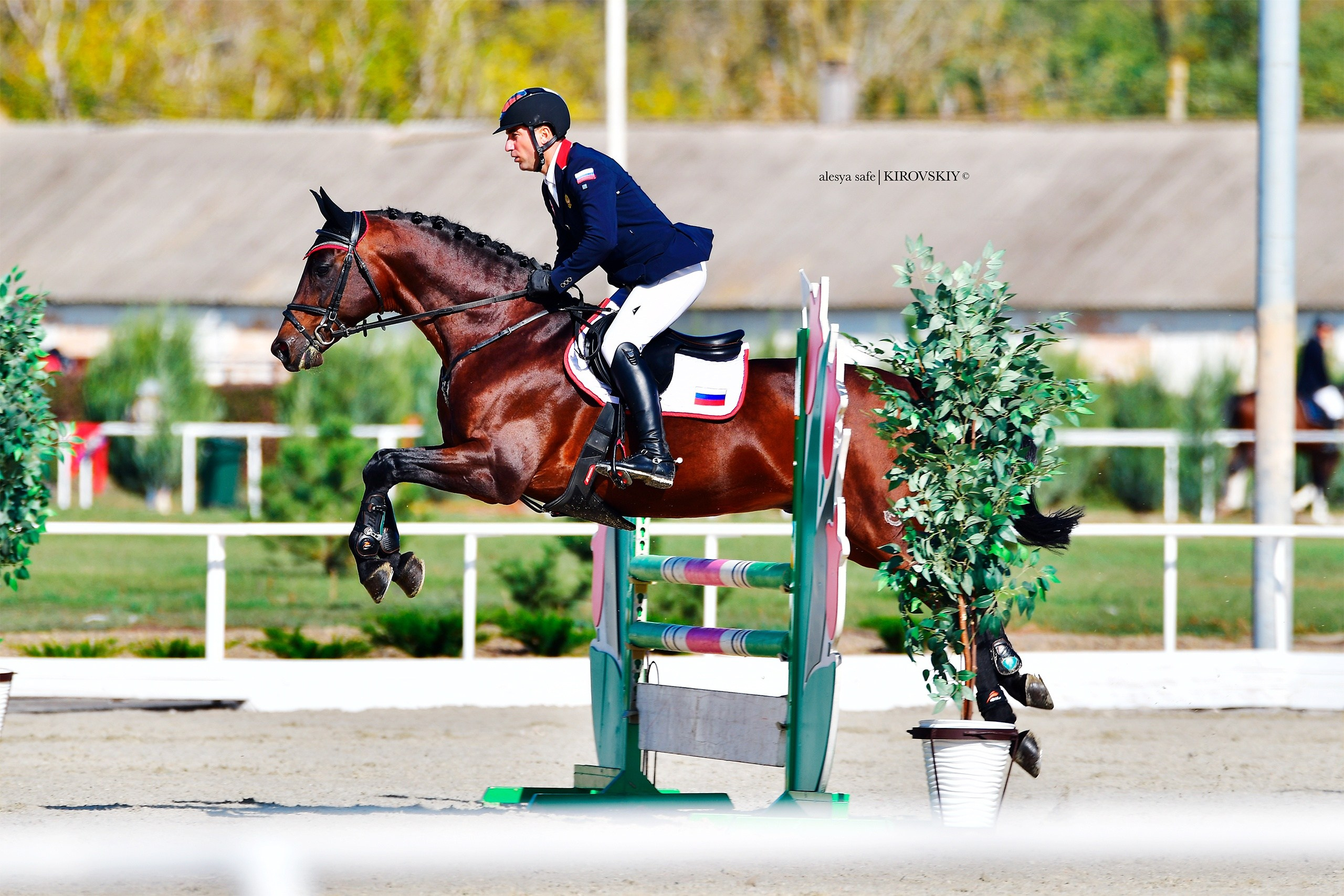 Кировский конный завод. Конный фотограф Alesya Safe