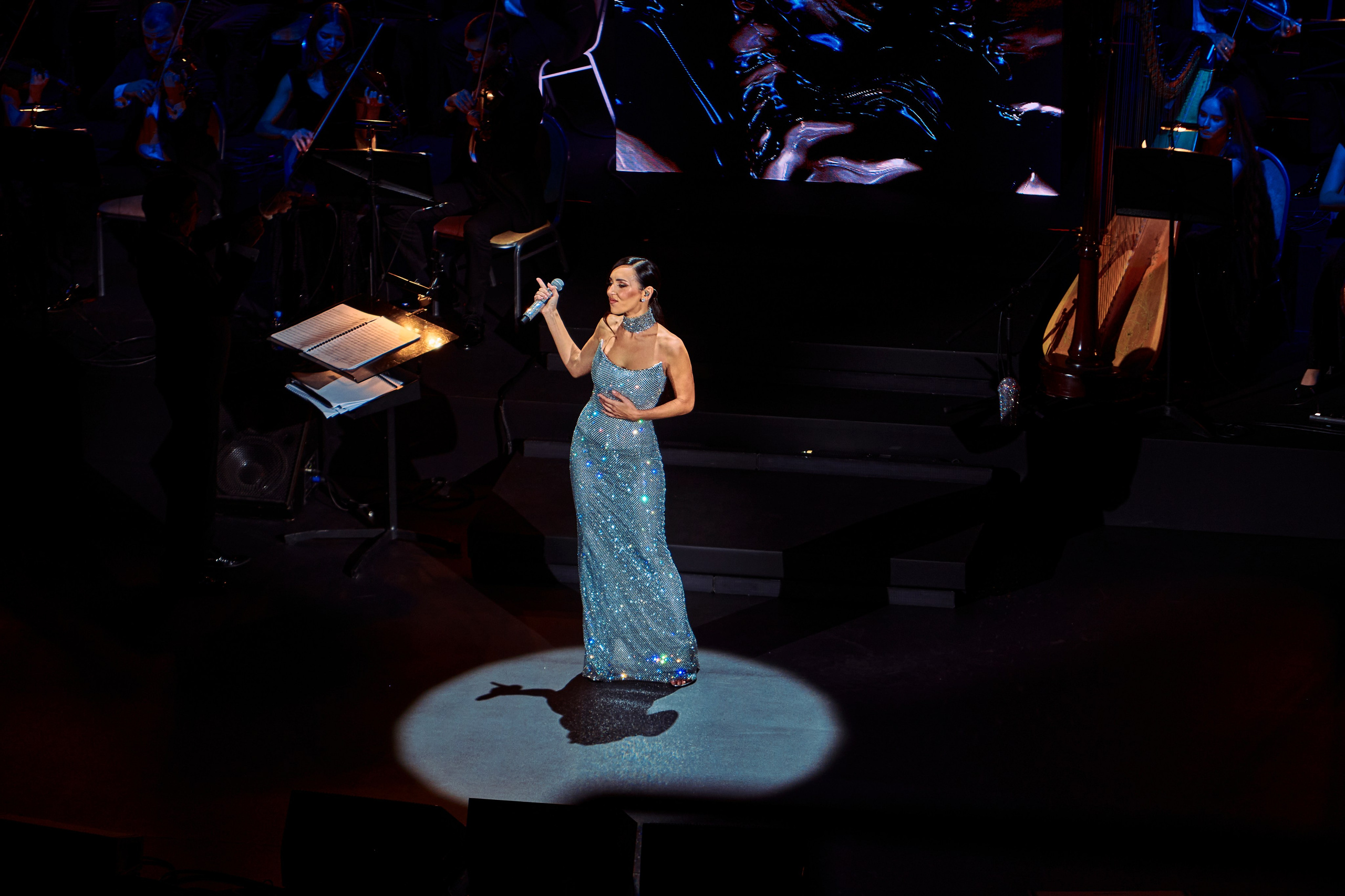 Concert. Репортажный фотограф, портретный фотограф  г. Москва