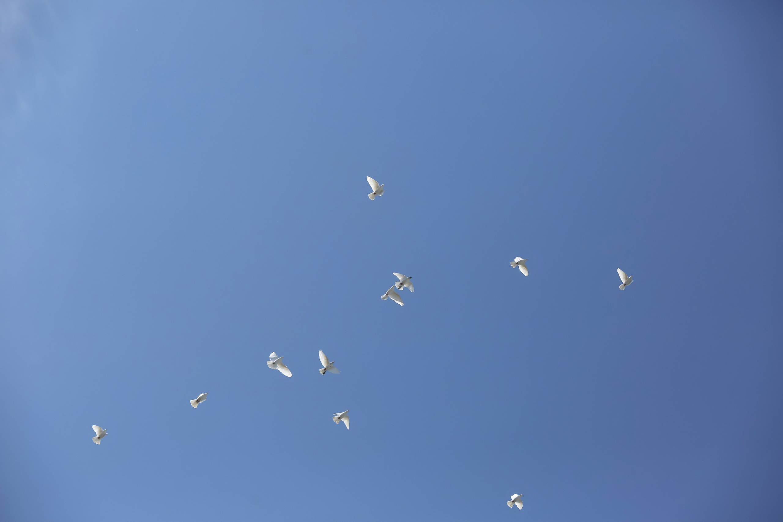 ЛИНЕЙКА «ПОСЛЕДНИЙ ЗВОНОК» 9 ШКОЛА 2024 г МЦЕНСК. ТВОЙ АЛЬБОМ / ТВОИ ПРАВИЛА