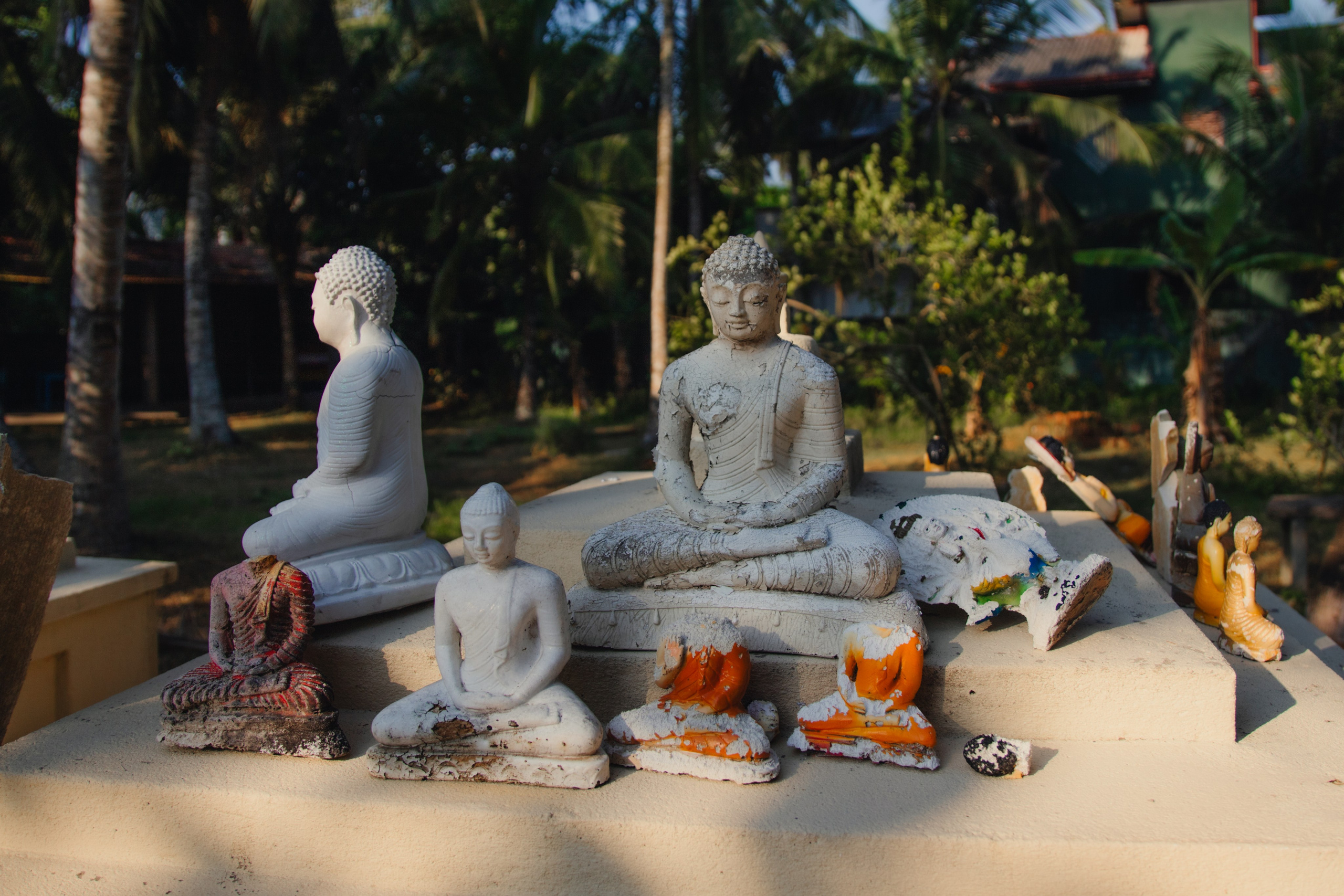 Шри-Ланка. Фотограф Юля Постнова