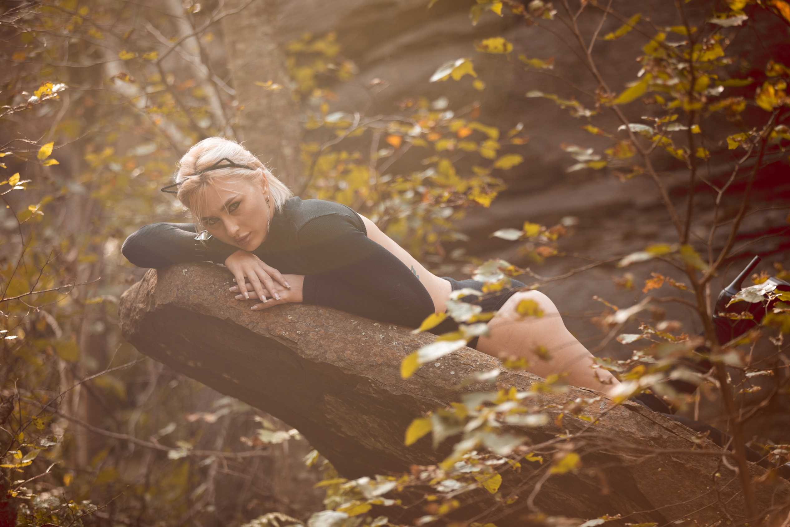 Фотосессии — Кошка на природе 2023 — остров Русский. Твой ламповый фотограф