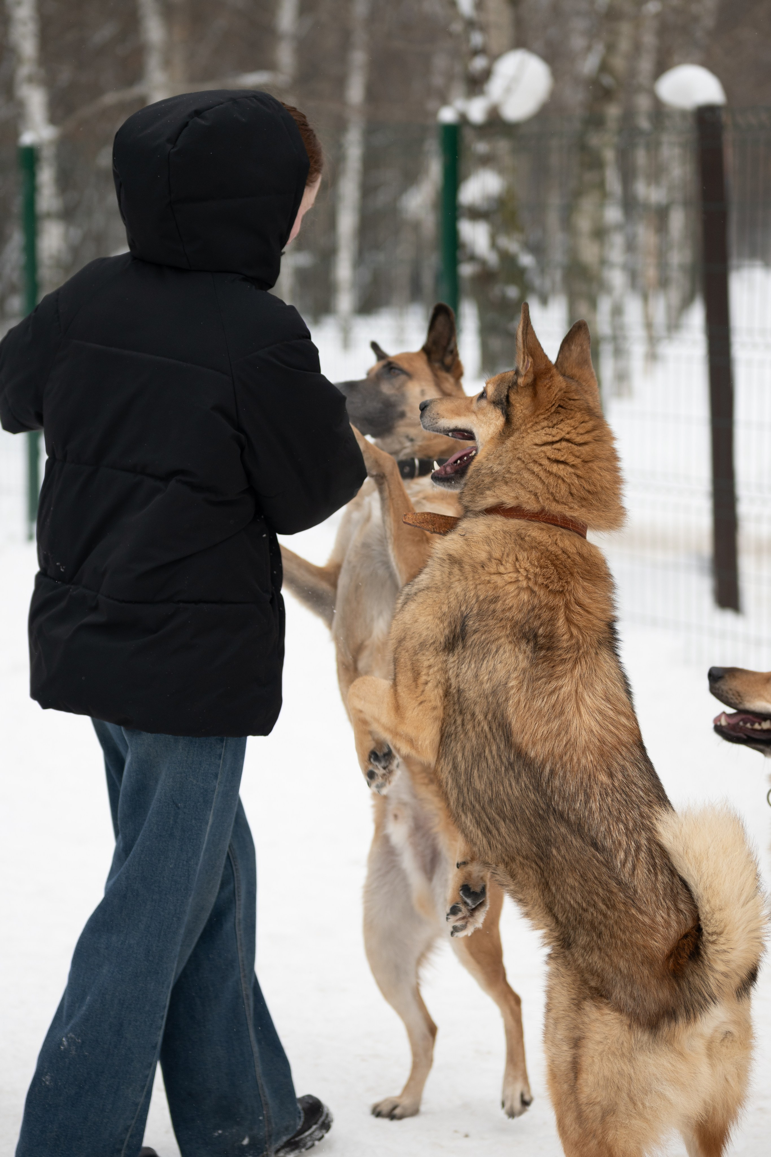 Приют «Искра». Фотограф и видеограф в Москве Анна Матюхина