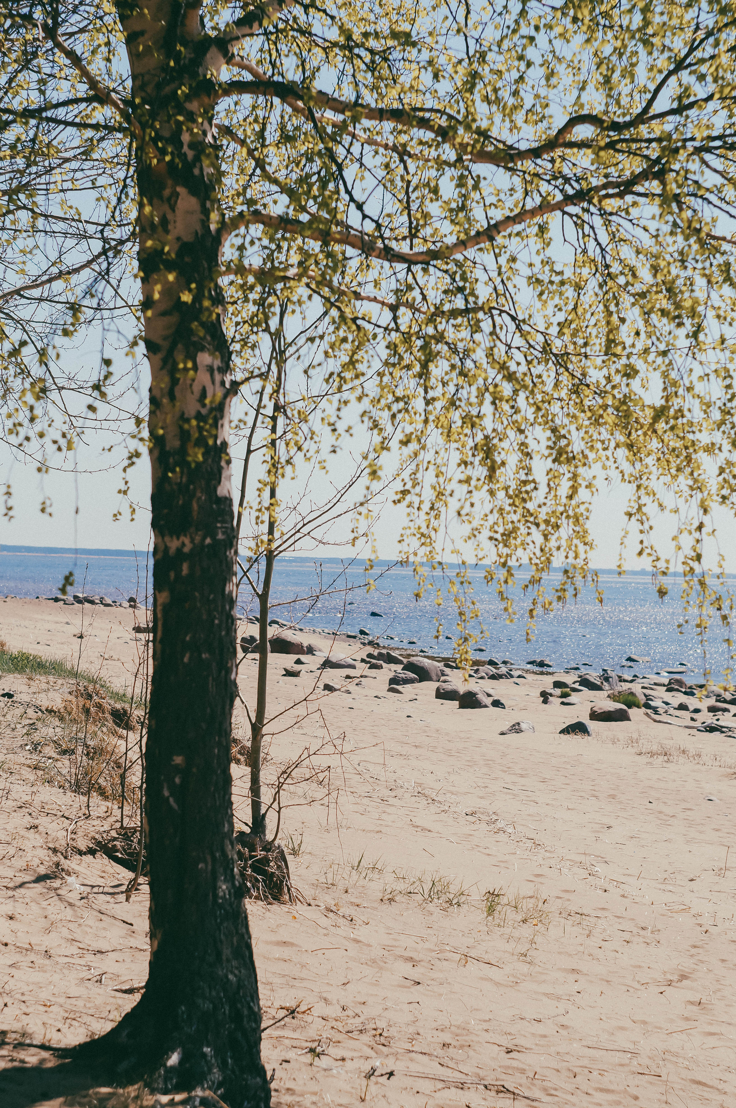 «Магия воды и света», терапевтическая фотосессия. Фототерапевт и арт-терапевт Валентина Лобас