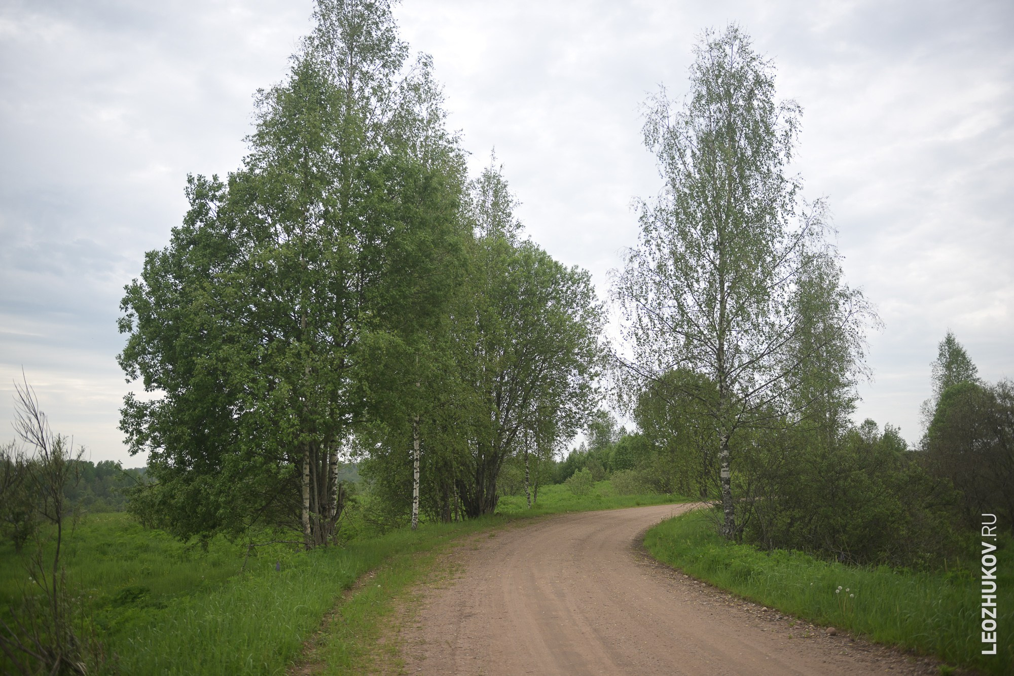 Rally Pushkinskie gory 2025. Sports photographer Leonid Zhukov