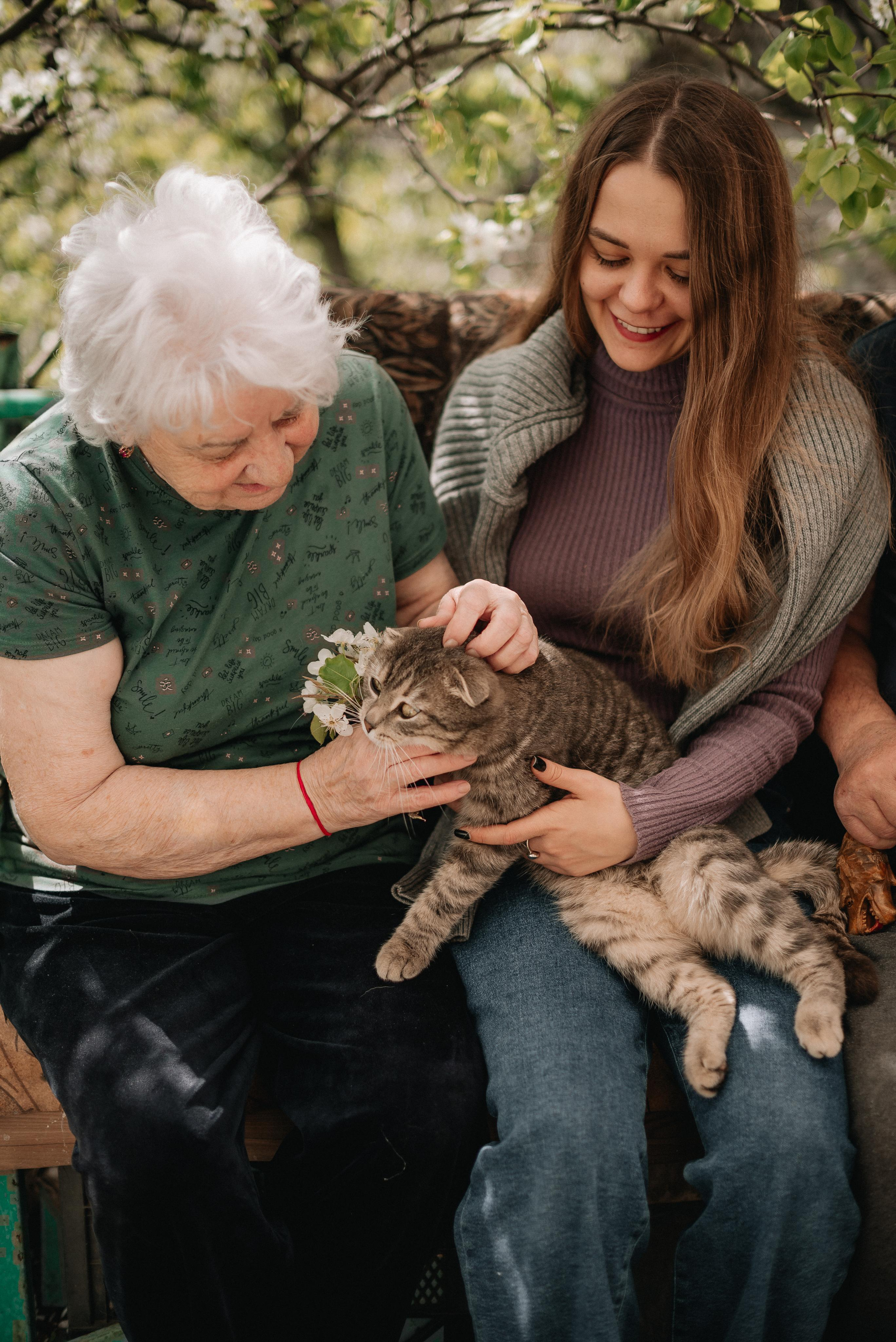 В гостях у бабушки и дедушки. Семейный фотограф в г. Ставрополь, Сорокина Мария