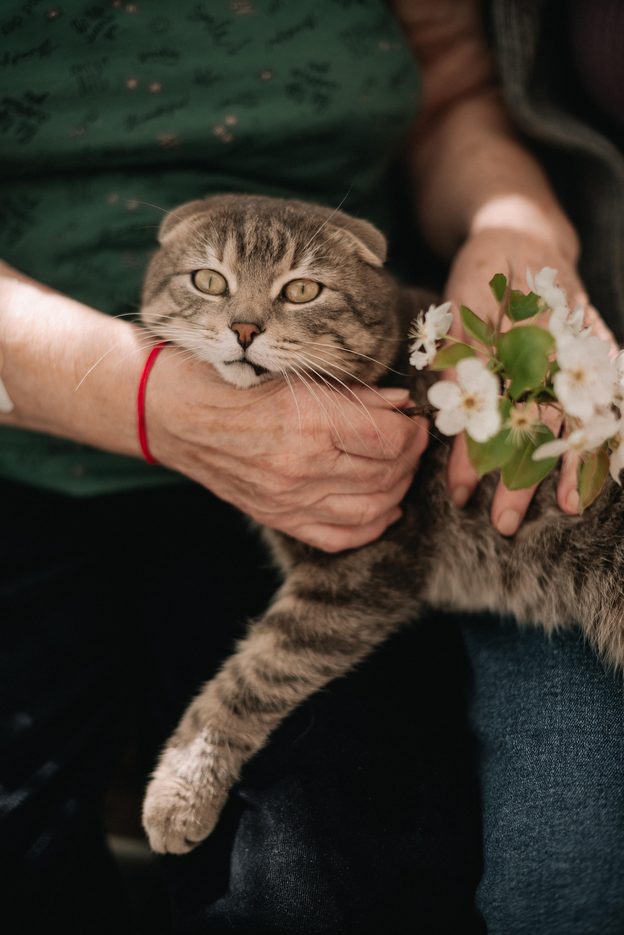 В гостях у бабушки и дедушки. Семейный фотограф в г. Ставрополь, Сорокина Мария