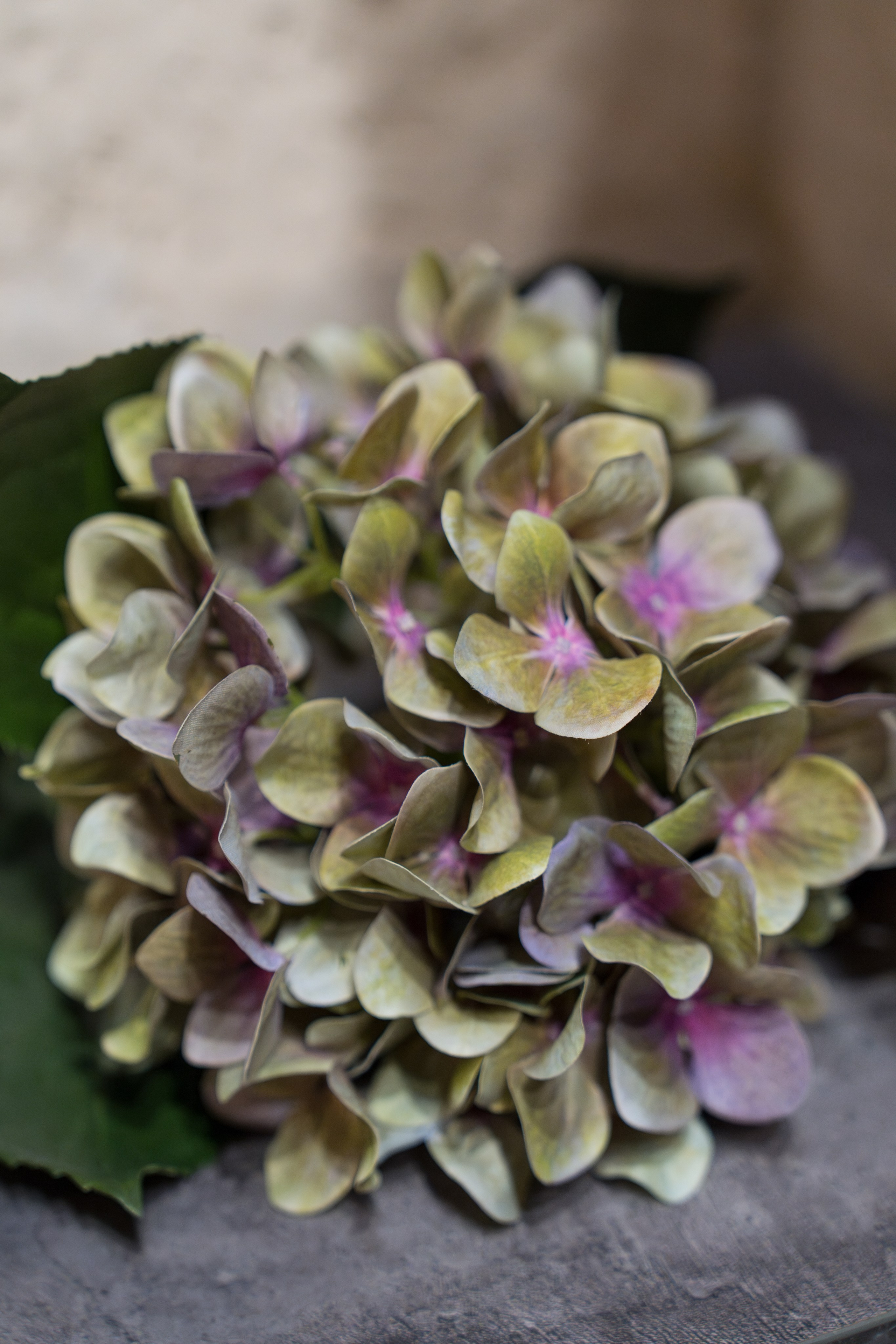 Мероприятия. Фотограф и видеограф в Москве для реализации любой задумки Александр Кудрявцев