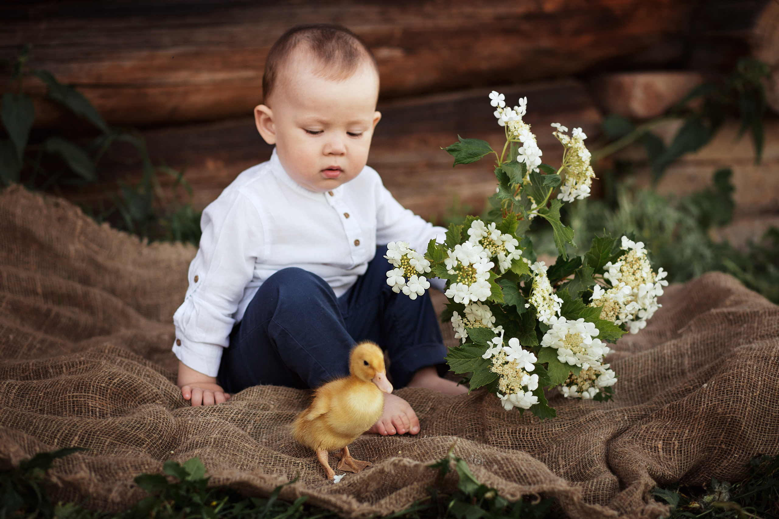 Семейные и детские. Екатерина Хамзина