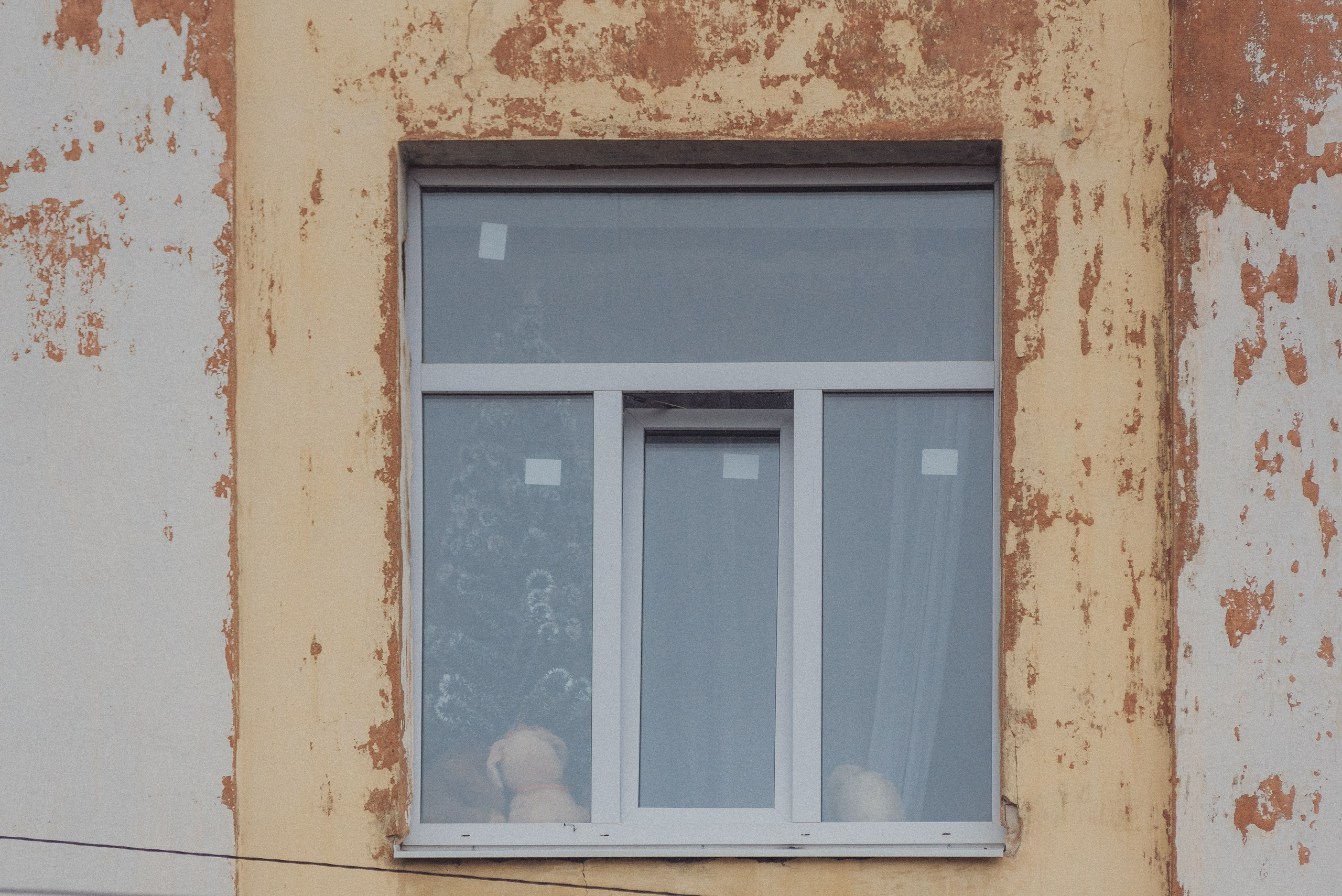 Проект #улицыгорода. Ярославль, ул. Республиканская. Документальный фотограф Илья Тихановский