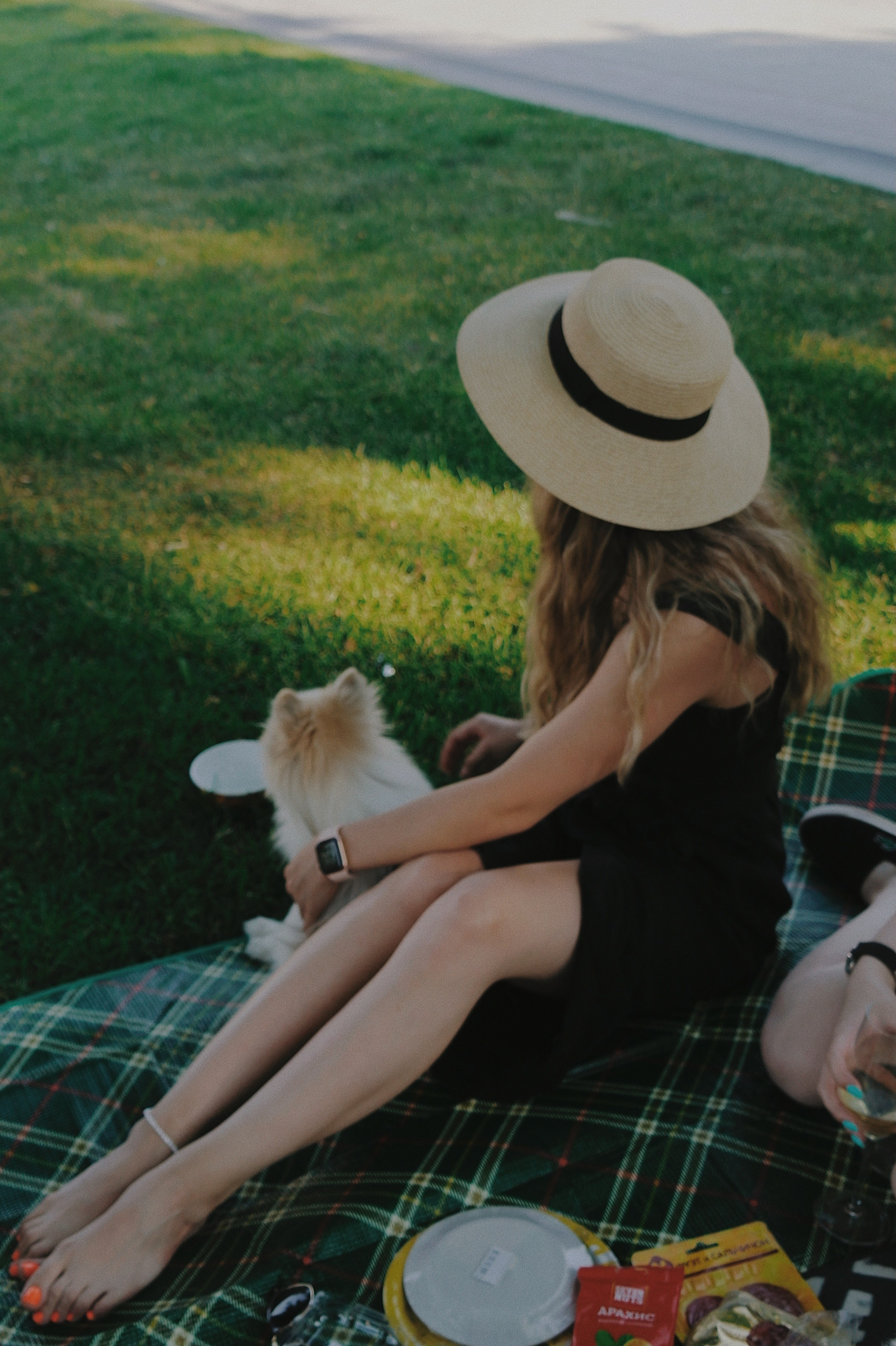 Питомцы. Татьян гертье