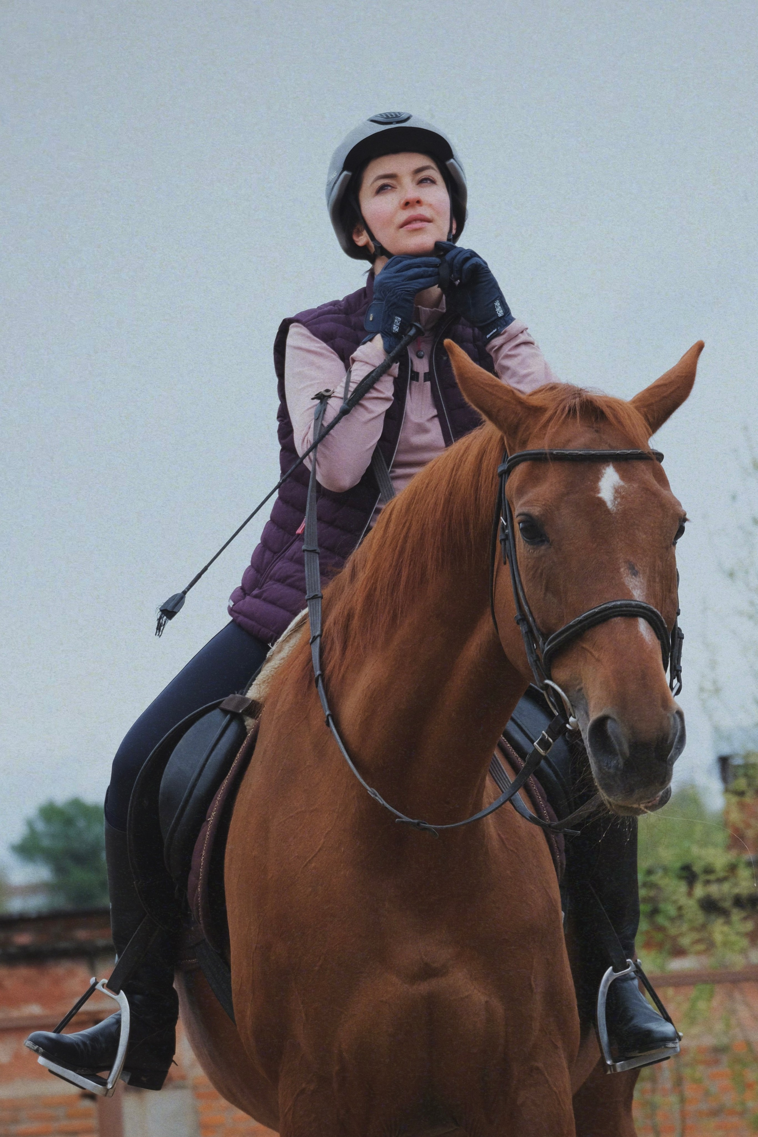 Питомцы. Татьян гертье