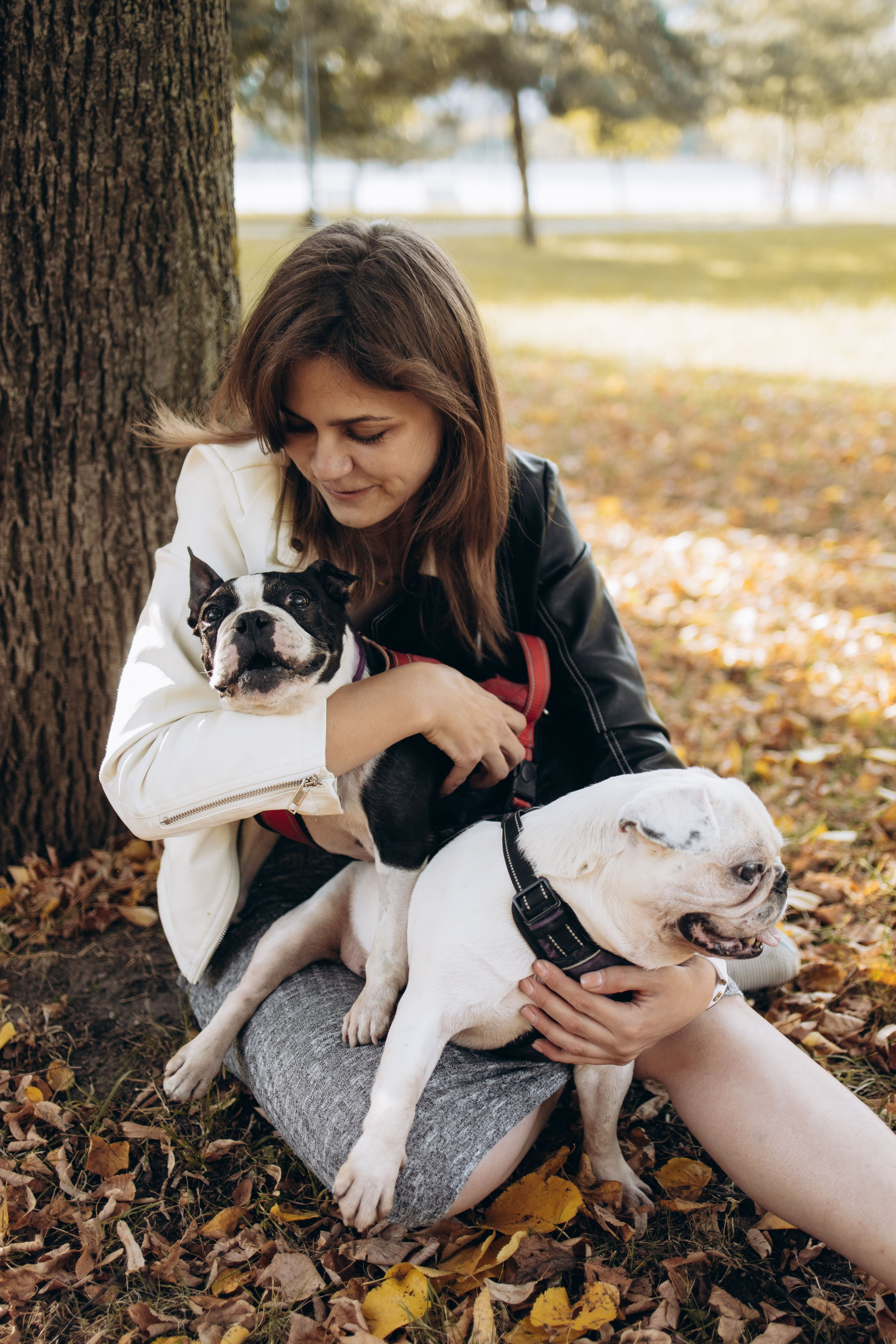 Оля и бульдоги