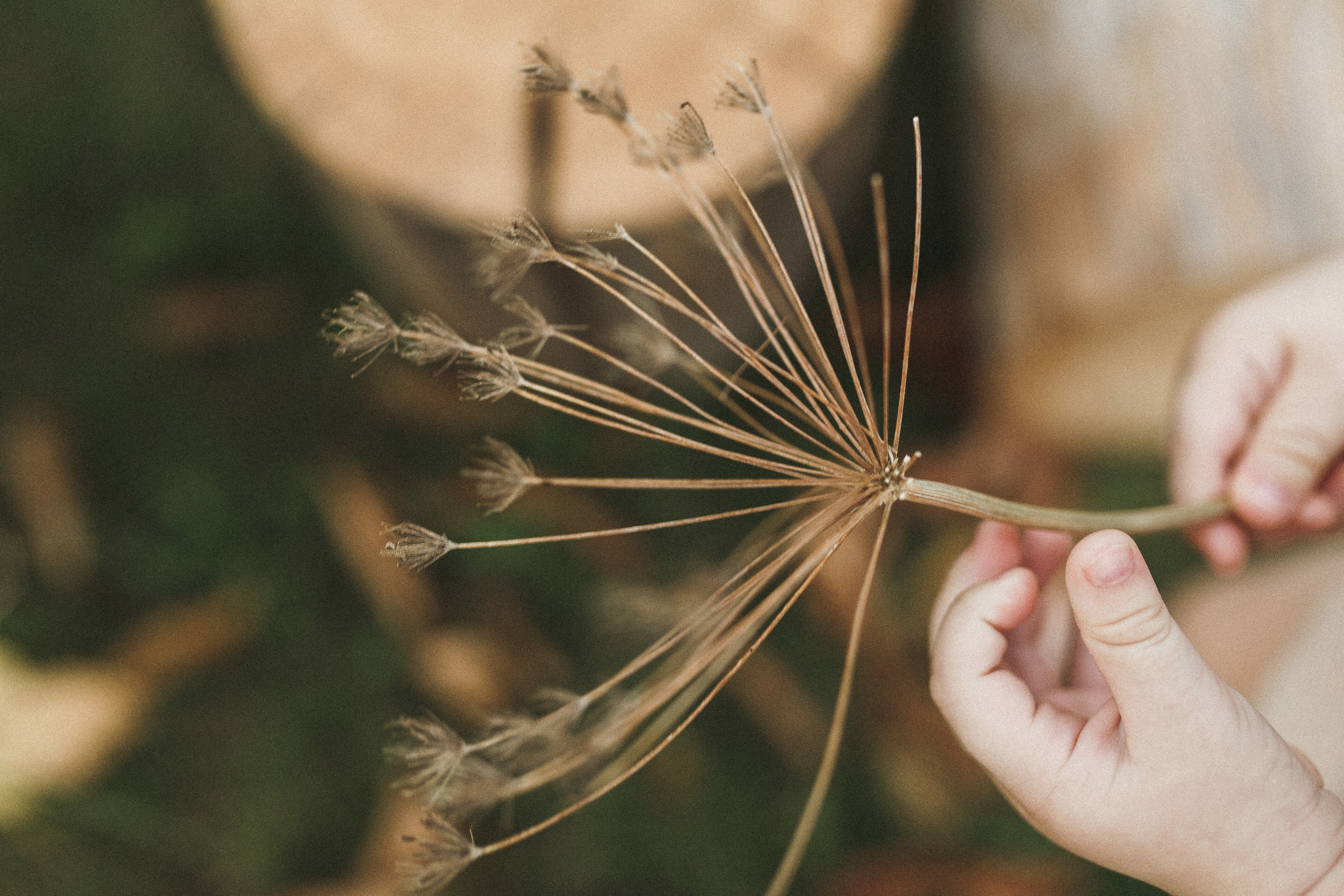 Молочная фотосессия!. Семейный и детский фотограф в Краснодаре Миронова Евгения