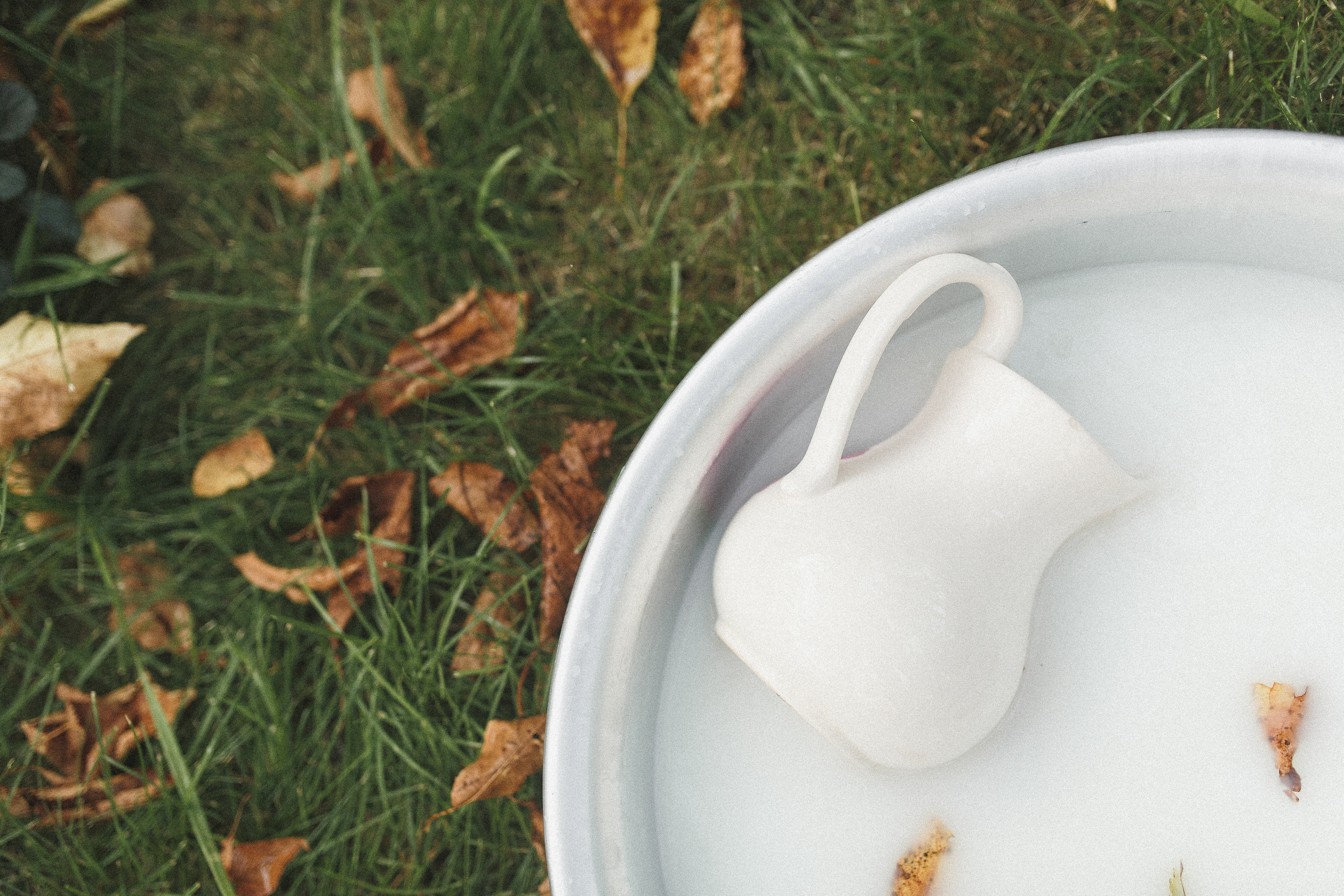 Молочная фотосессия!. Семейный и детский фотограф в Краснодаре Миронова Евгения