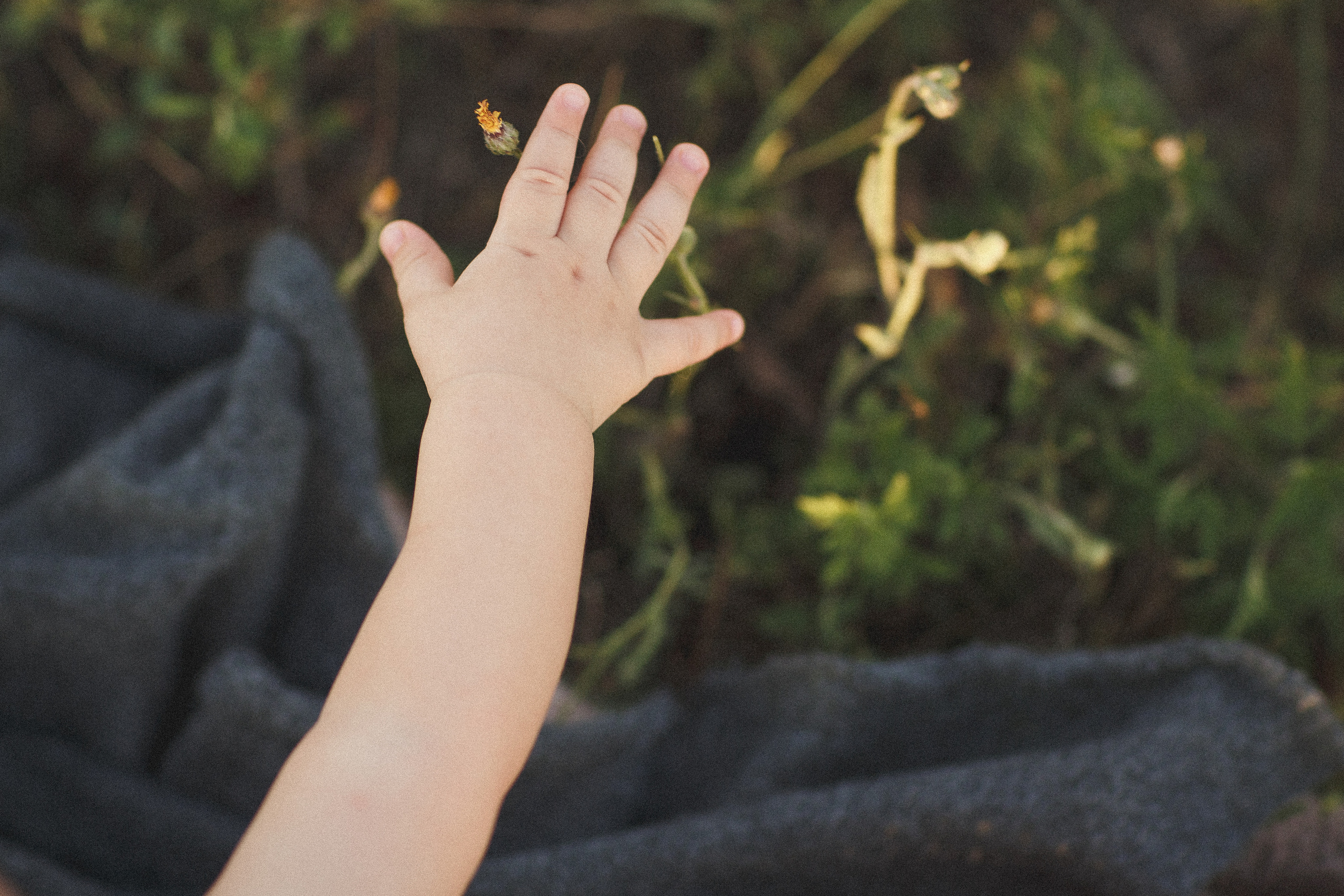 Мне пол годика!. Семейный и детский фотограф в Краснодаре Миронова Евгения