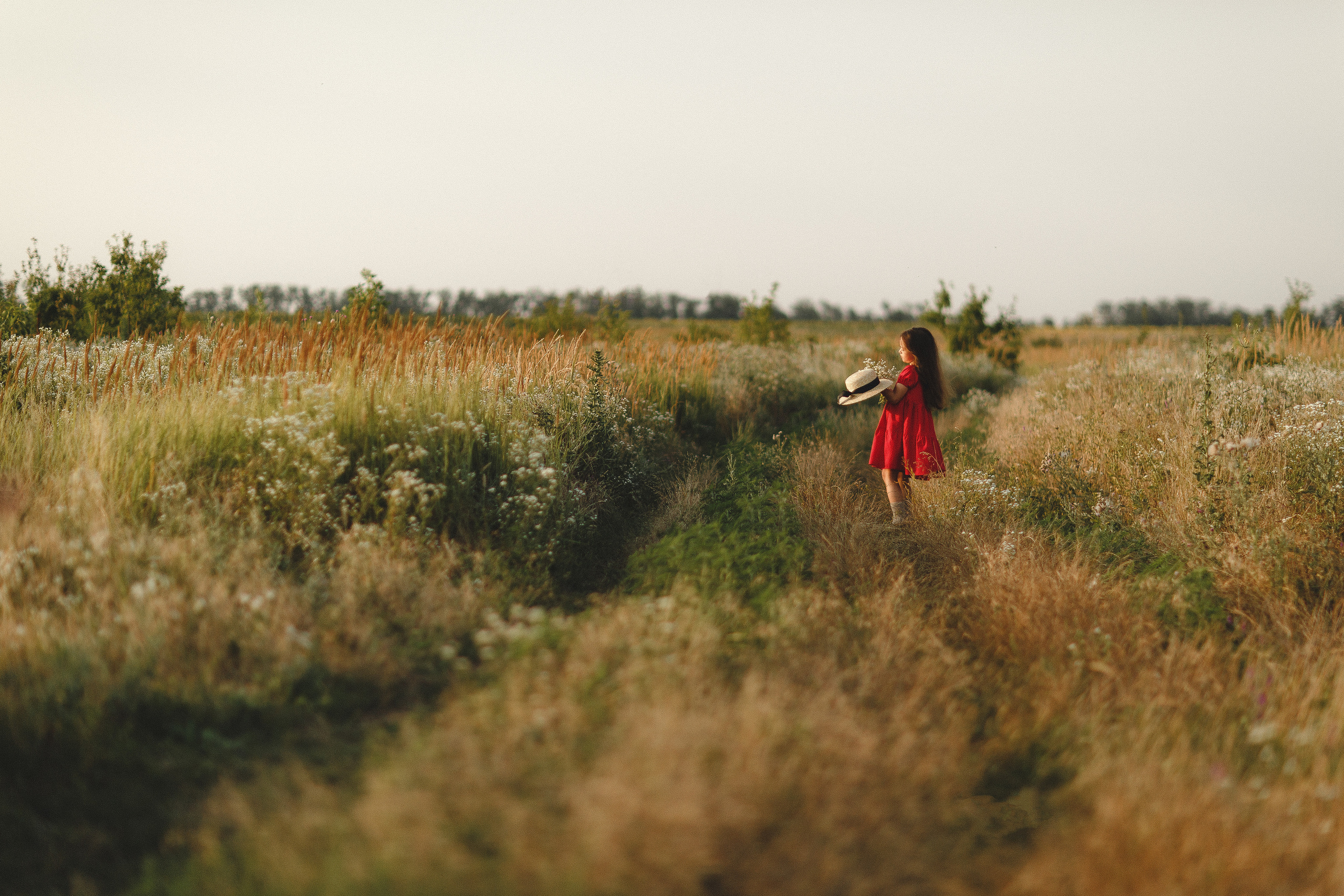 Фотосессия в пшеничных полях. Семейный и детский фотограф в Краснодаре Миронова Евгения