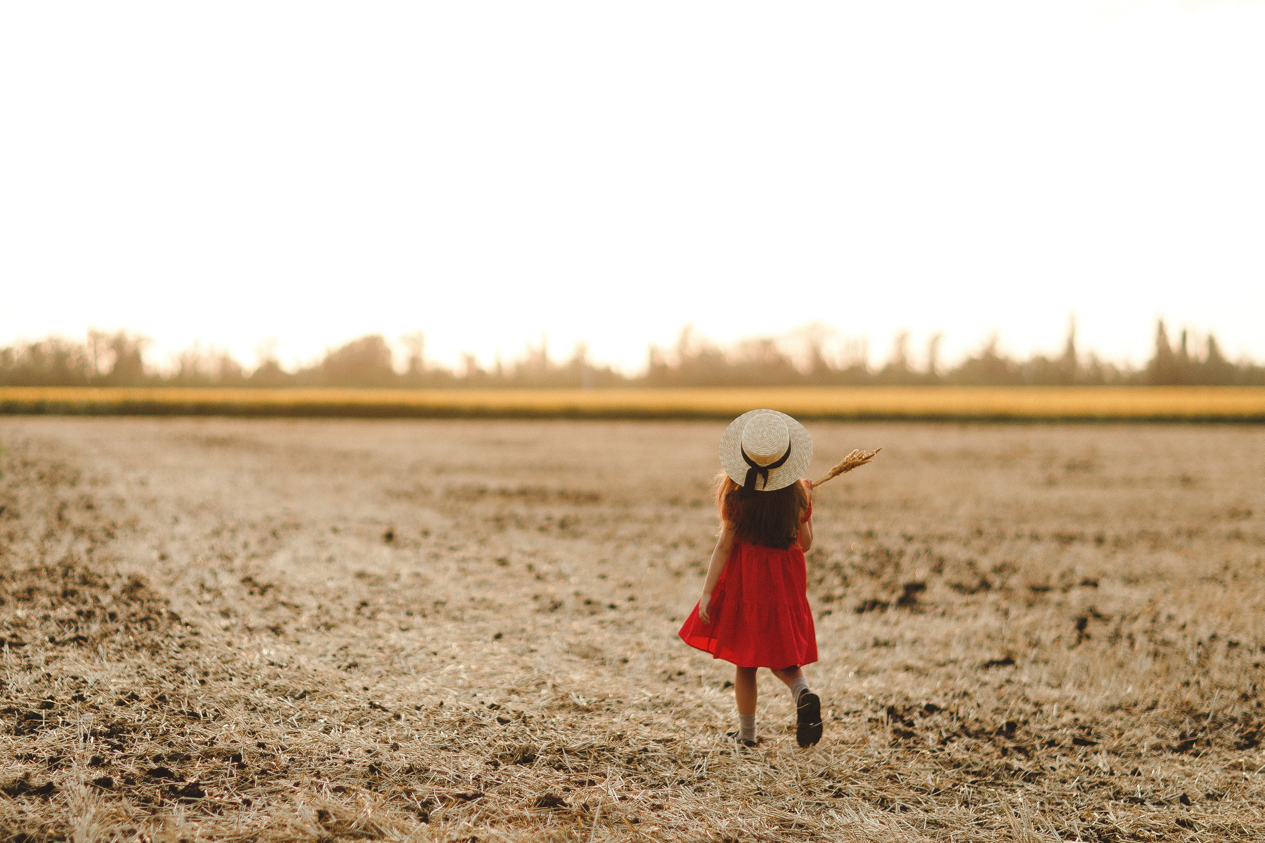 Фотосессия в пшеничных полях. Семейный и детский фотограф в Краснодаре Миронова Евгения