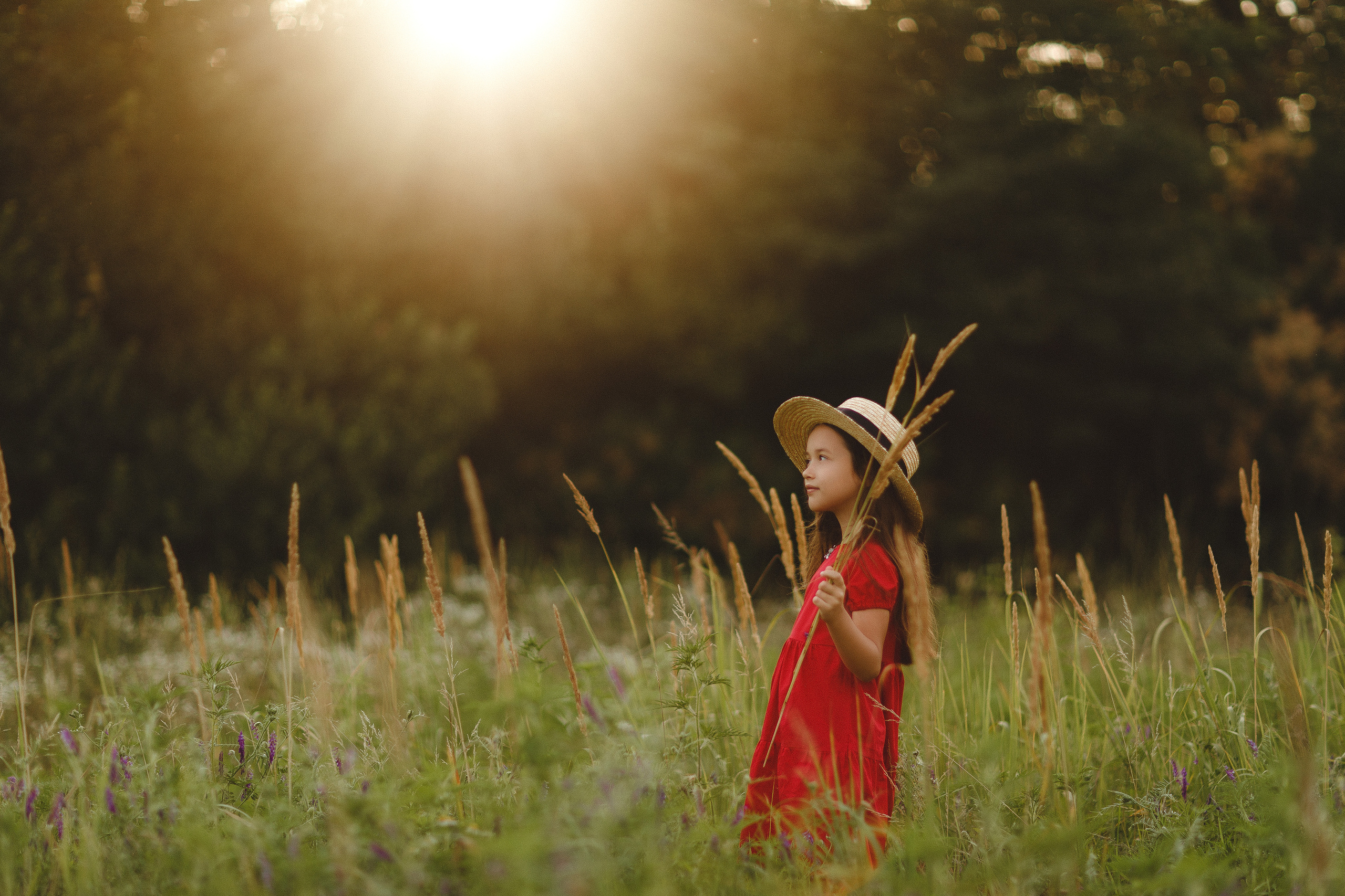 Фотосессия в пшеничных полях. Семейный и детский фотограф в Краснодаре Миронова Евгения