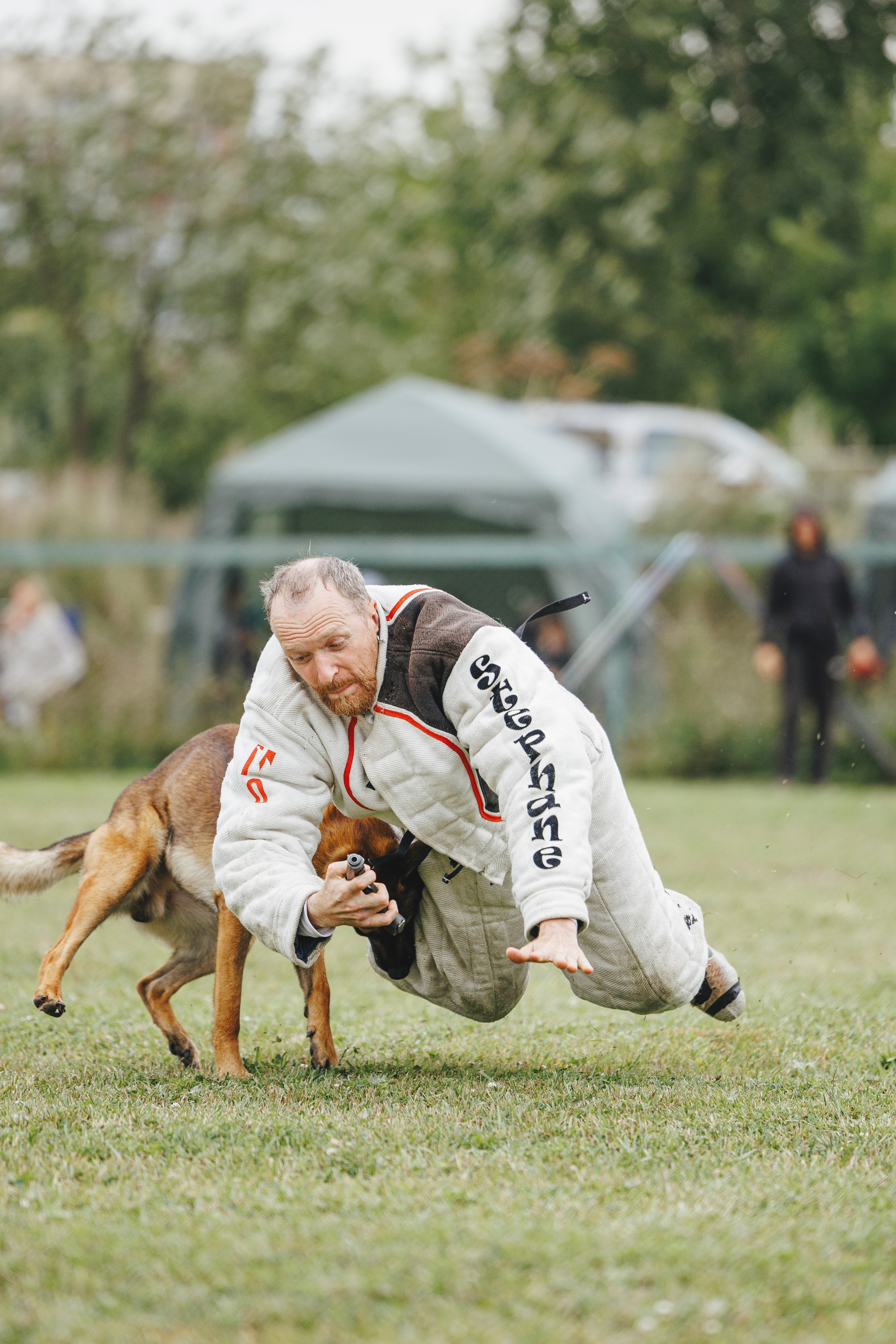 08.08.25-10.08.25 ЧР по мондьорингу г. Вологда. Фотограф-анималист Анна Маринич