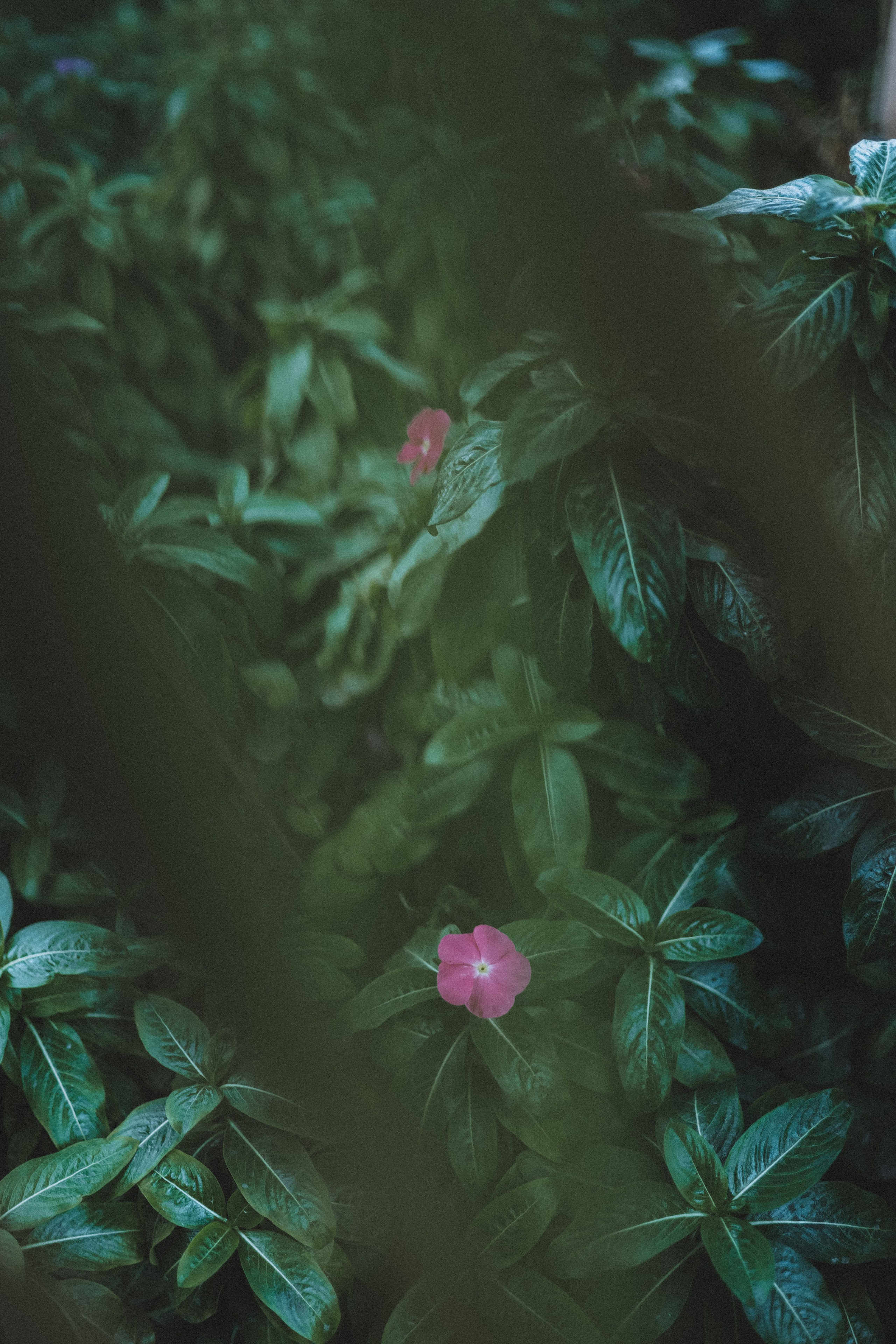 Nature. Оля Валиахметова — портретный и репортажный фотограф из Екатеринбурга