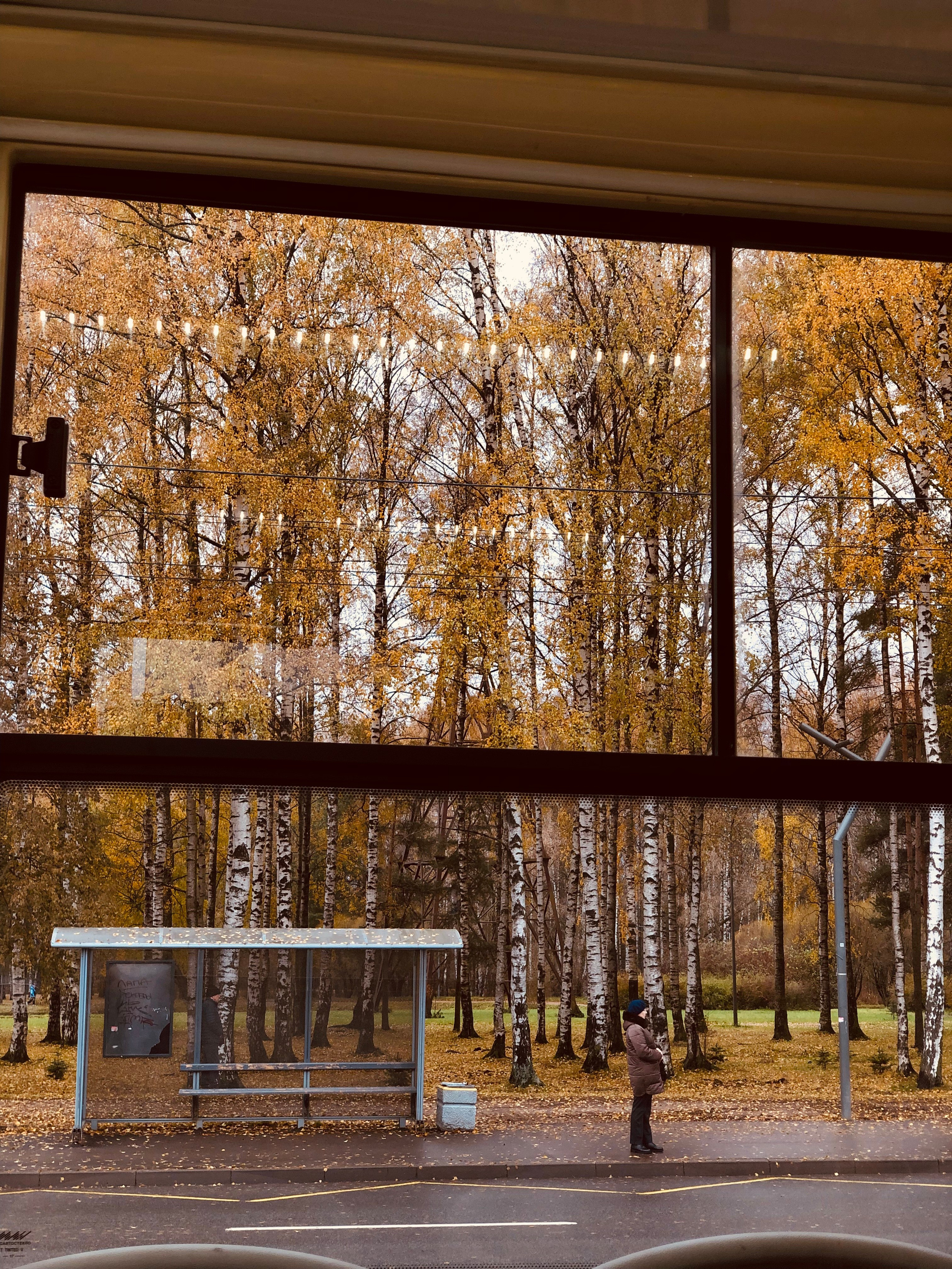 Ноябрь. Семейный, Свадебный фотограф СПБ Питер— Романова Екатерина