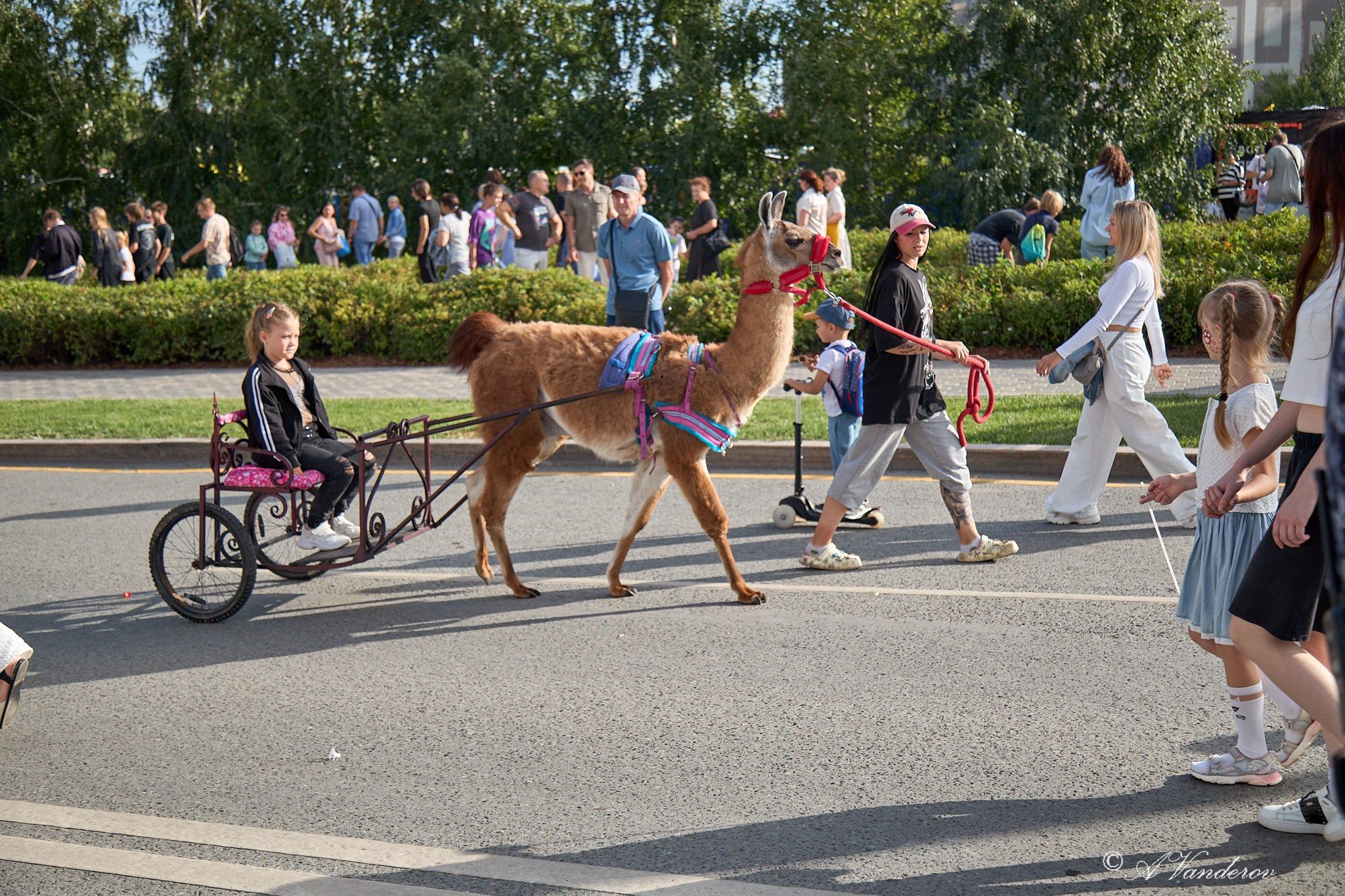 День города 2025. Фотограф Омск | Александр Вандеров