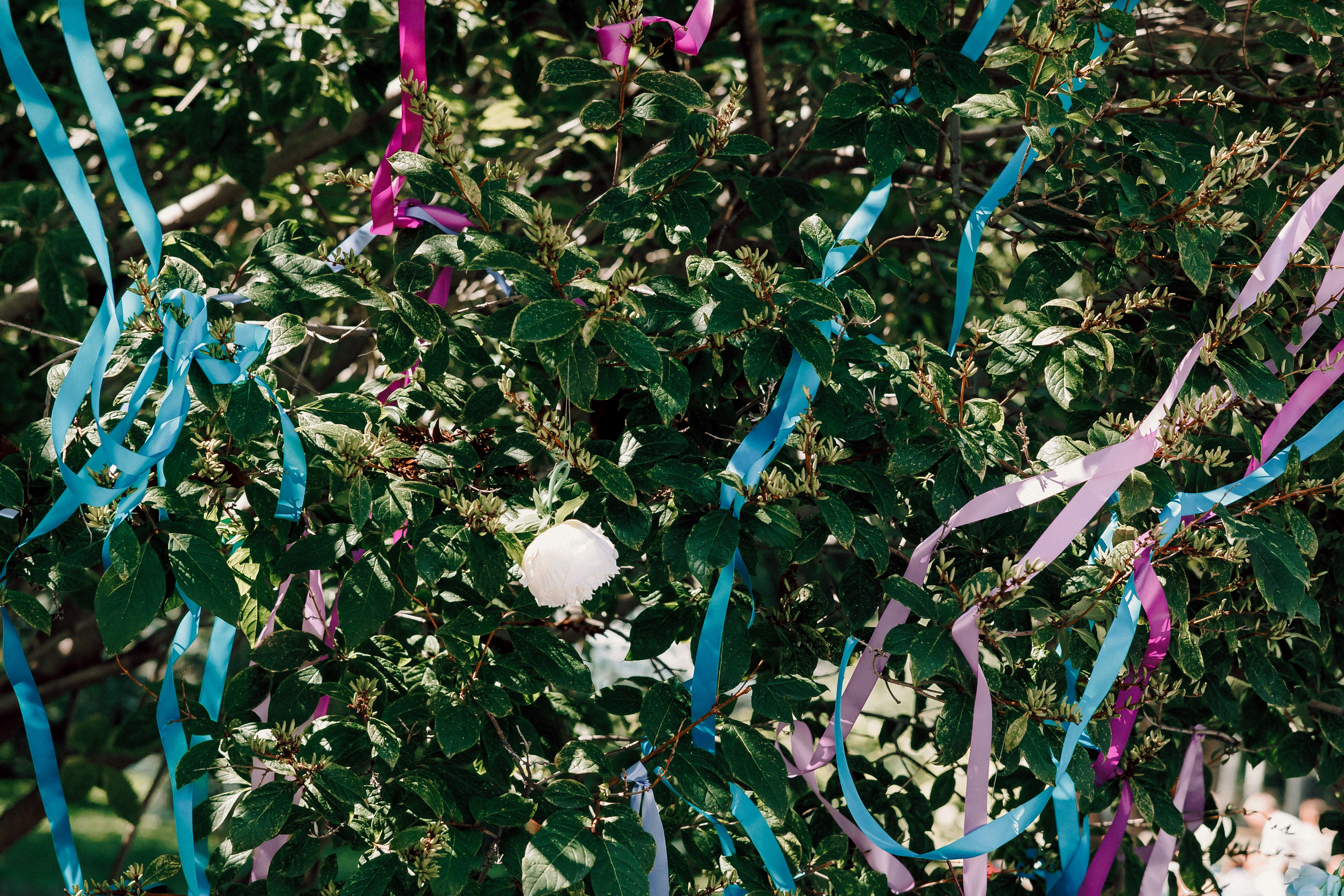 УММ2 — Летний корпоратив. Лёшка Варзегов — фотограф