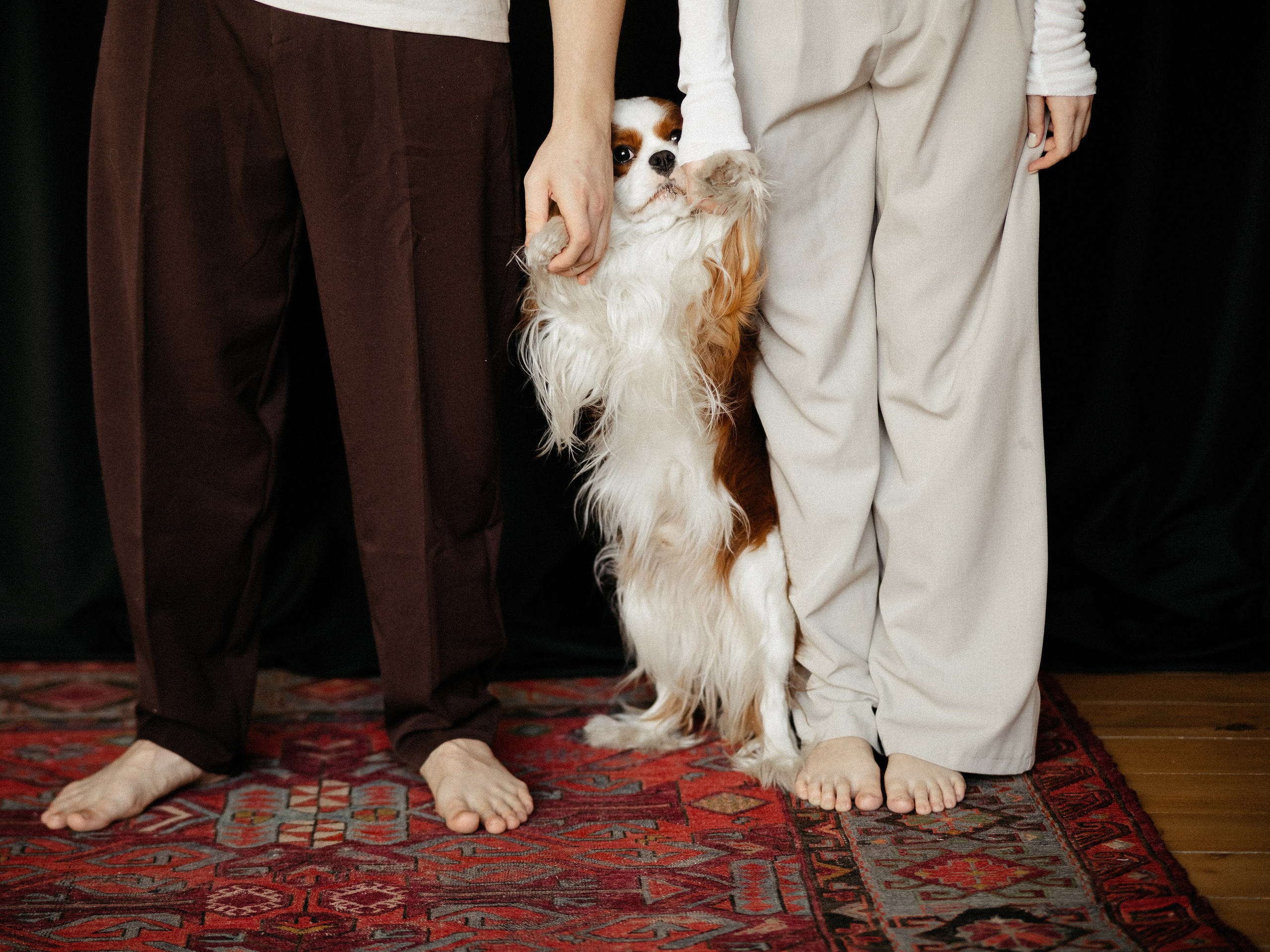 Игорь, Юля и Крекер. Свадебный фотограф Челябинск Зиненко Виктория