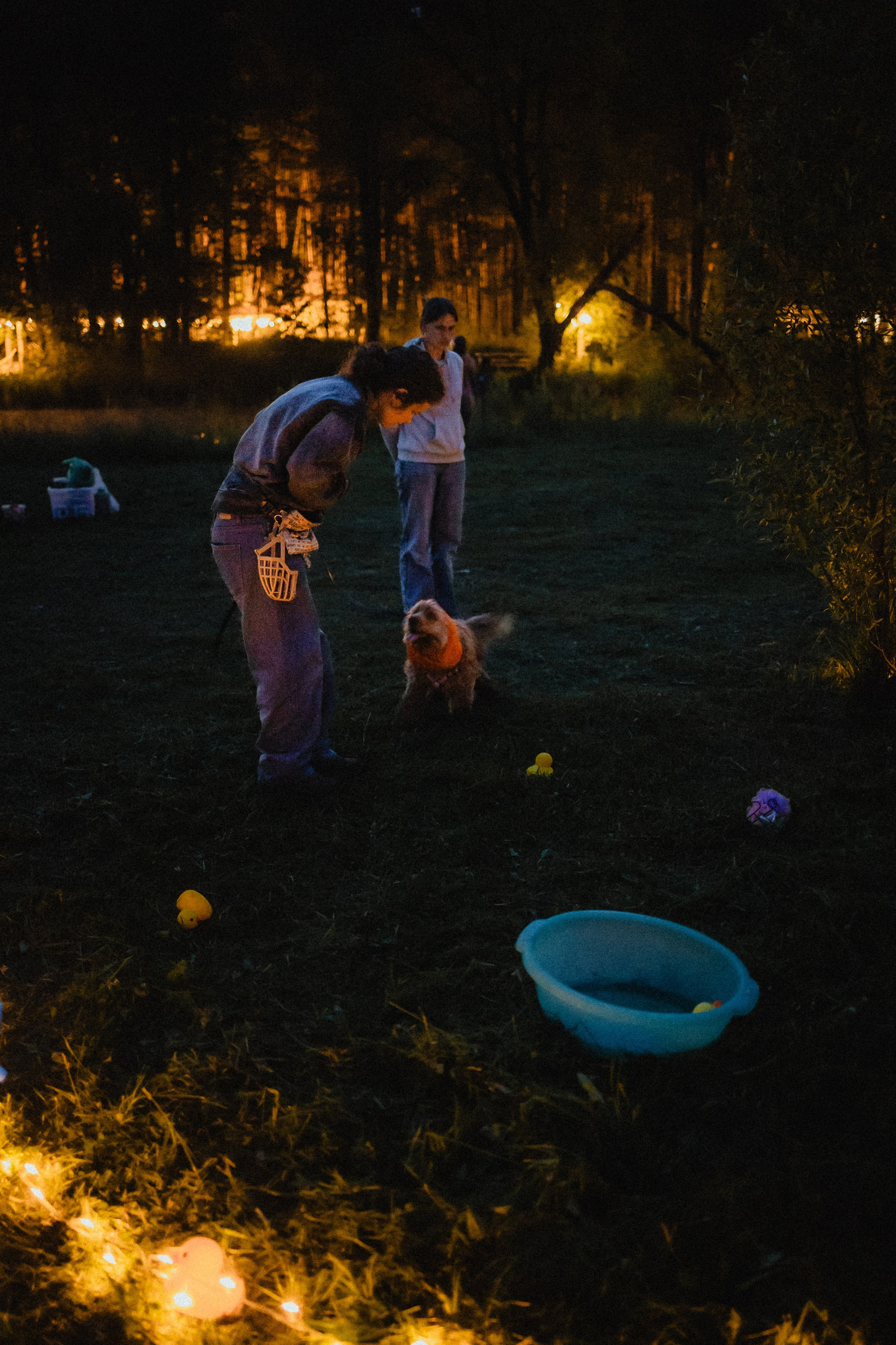 Выездной дог-тренинг от школы «Шерсть имею»