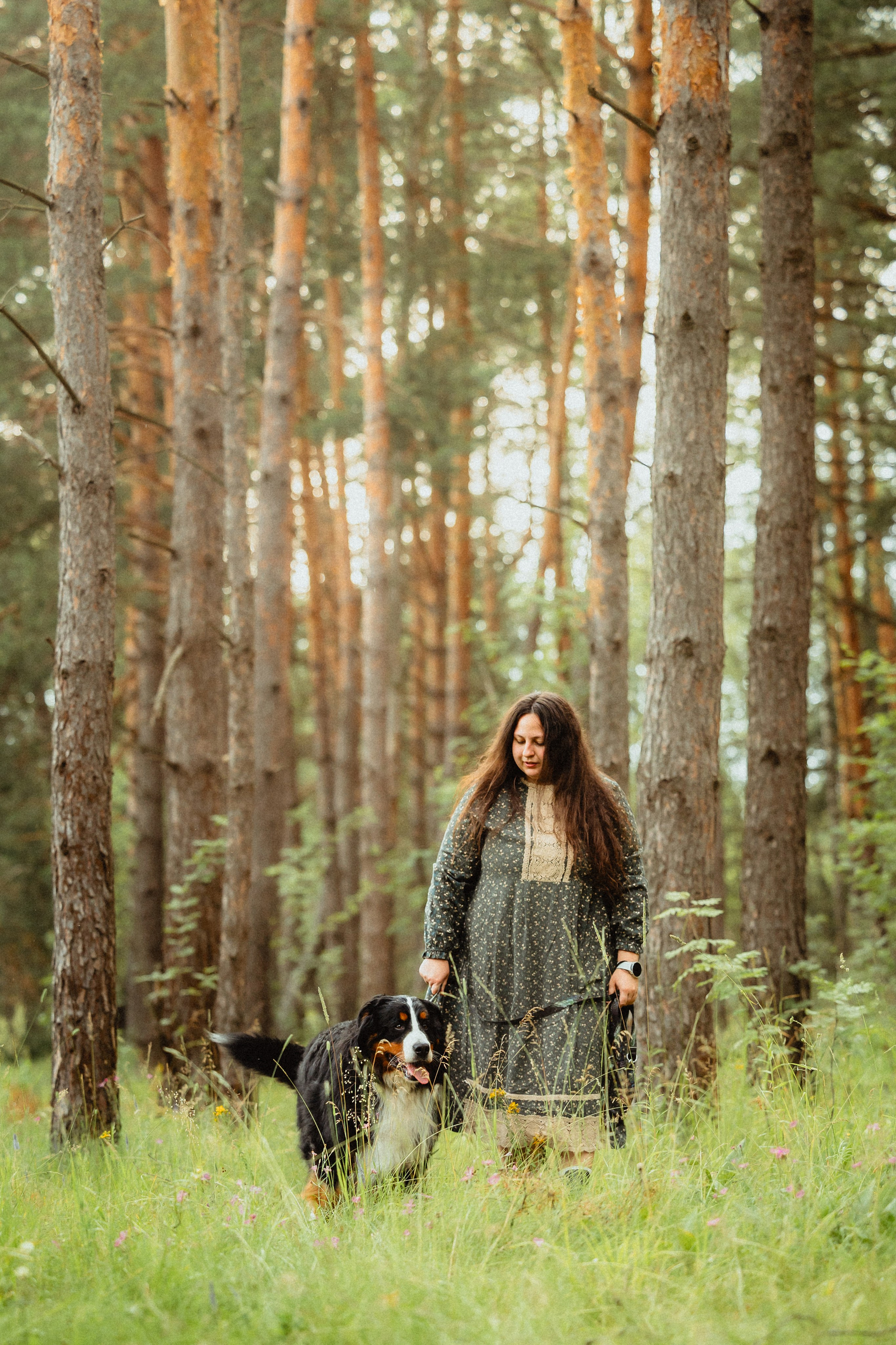 Выездной дог-тренинг от школы «Шерсть имею»