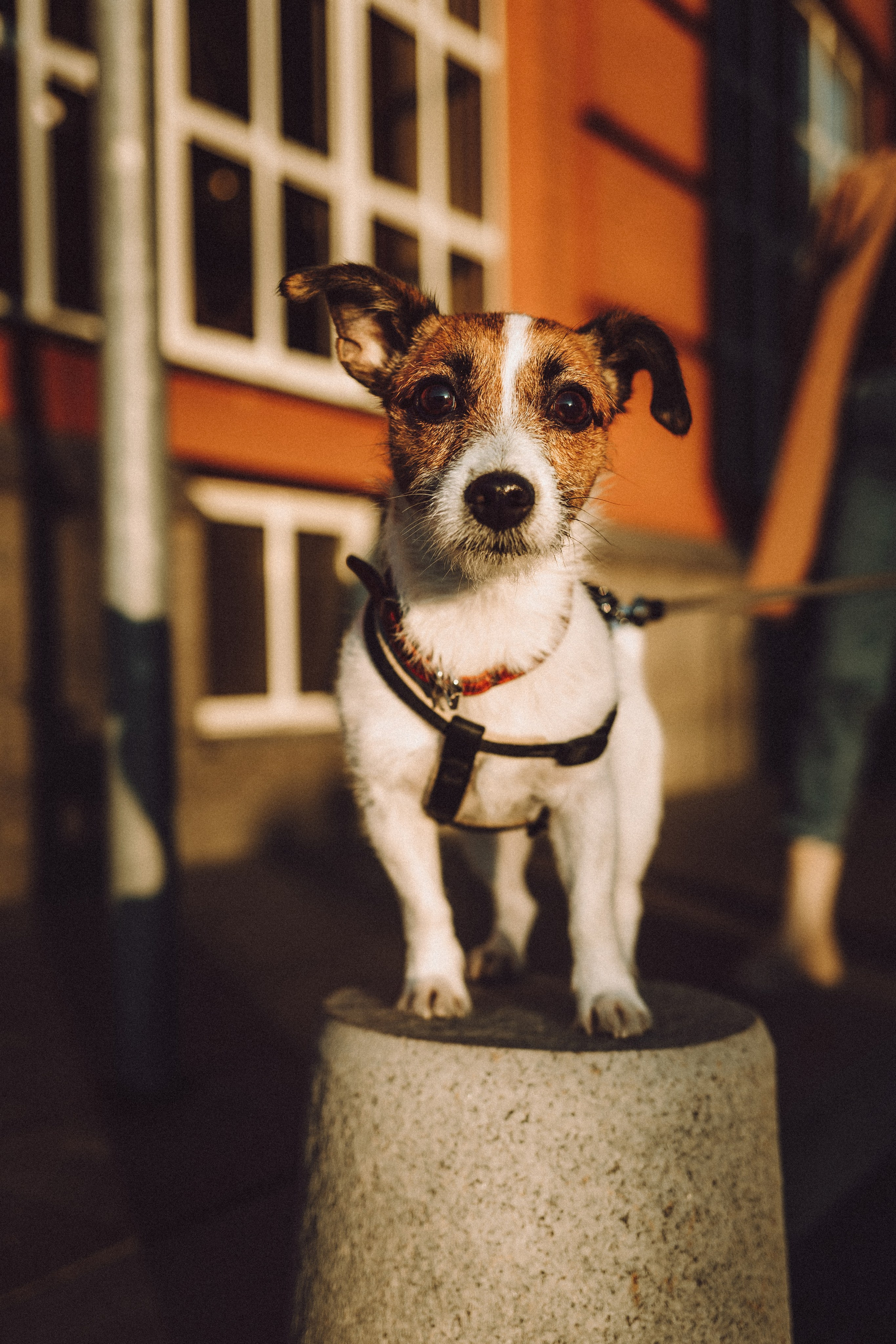 Лера и Рада