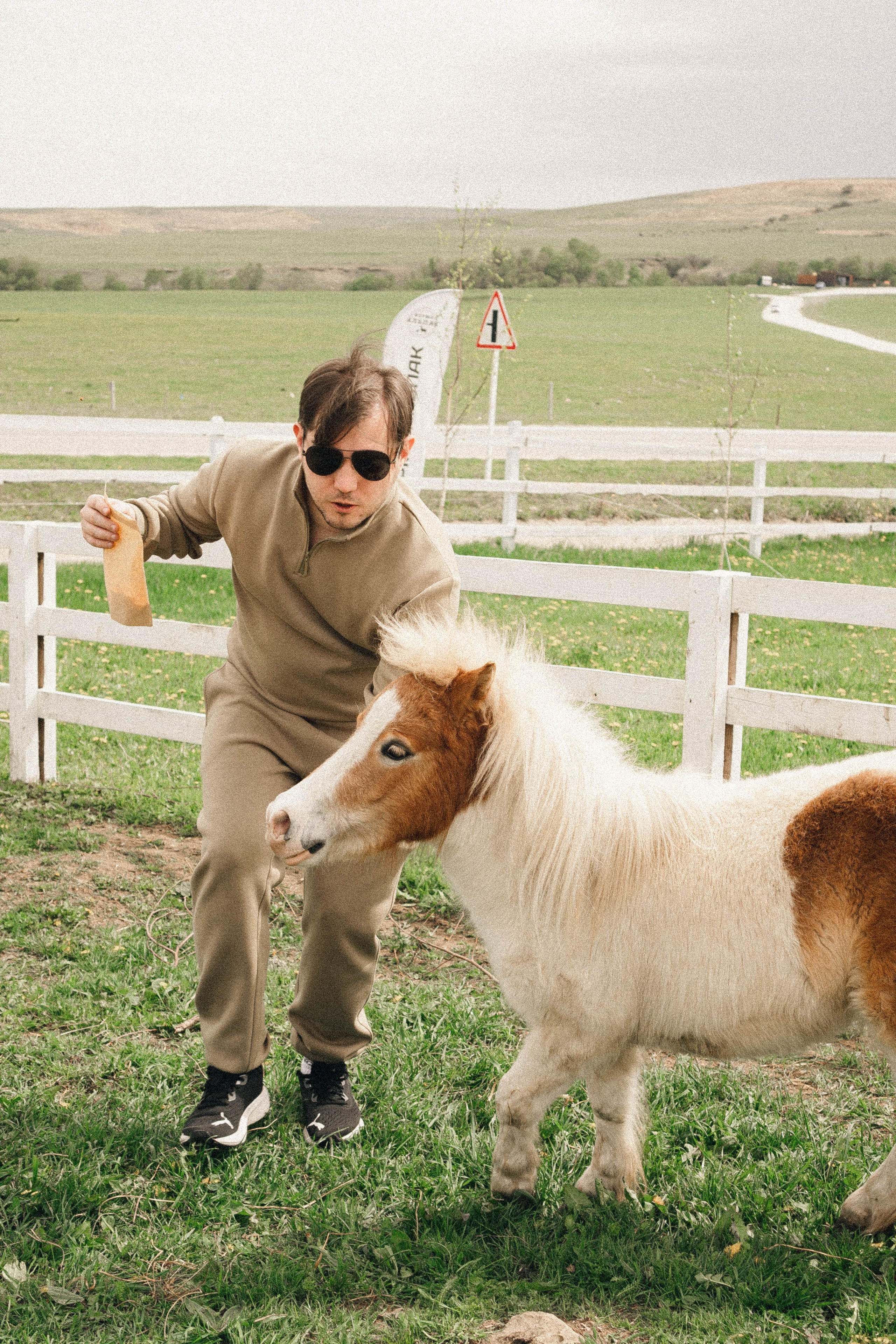 Ферма Альпак. Профессиональный фотограф, Санкт-Петербург — Виктория Богомолова