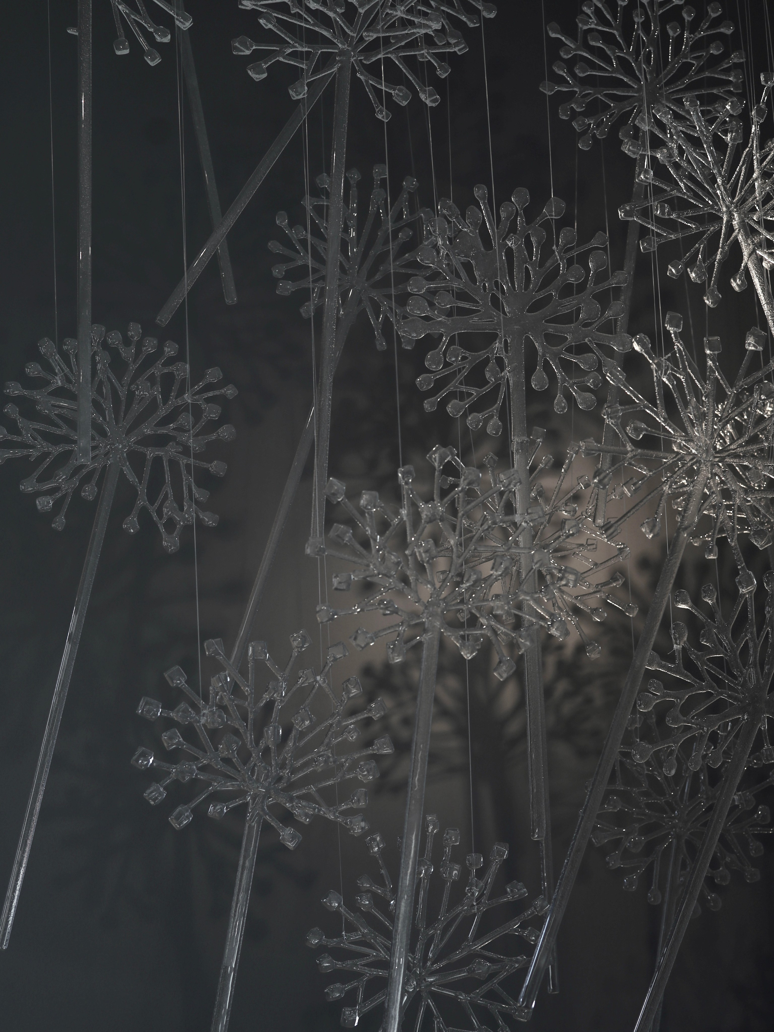 Выставка Степени прозрачности. Фотосессии и репортаж — Фотограф в Москве — Рина Серёгина