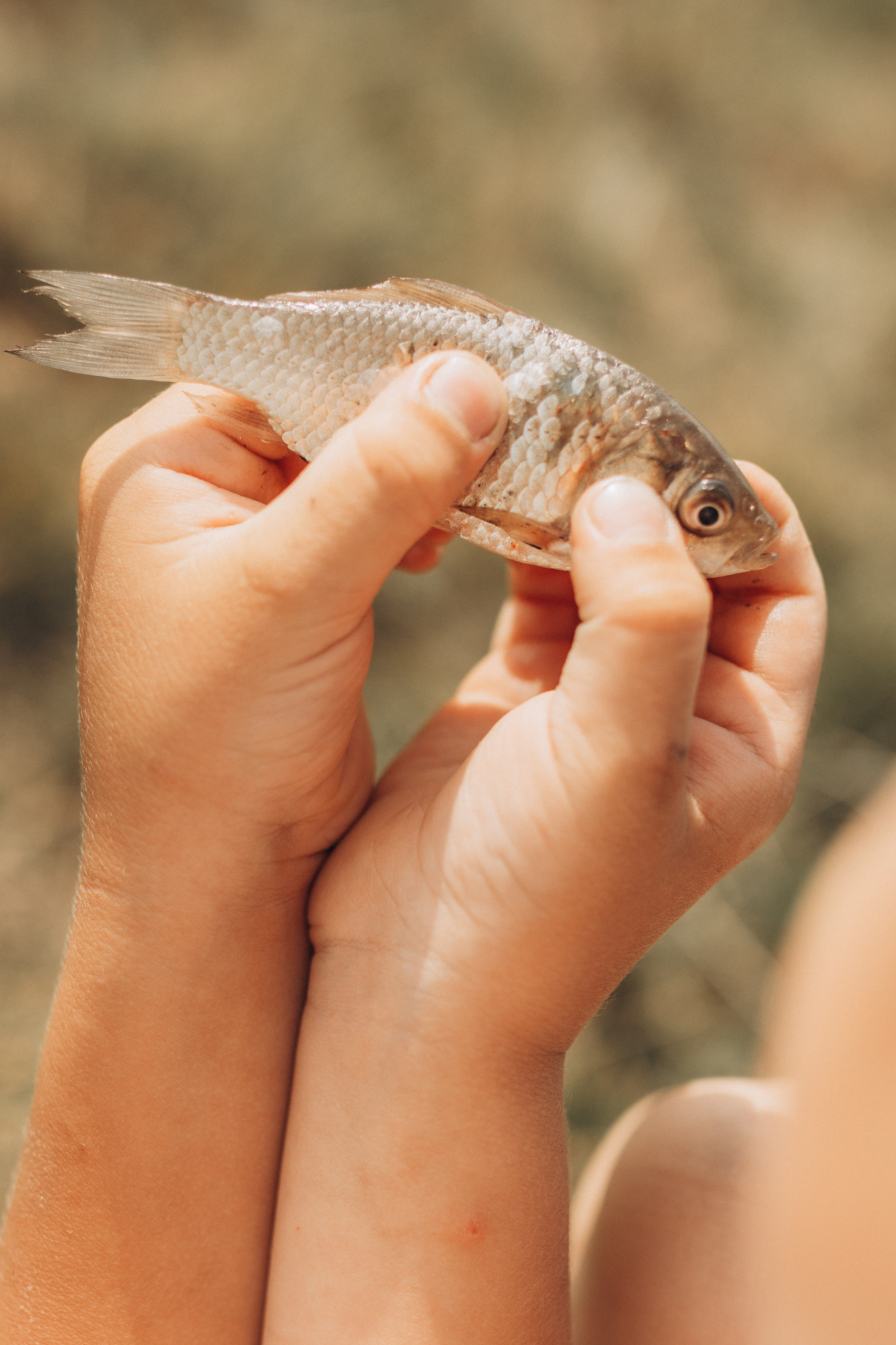 Семейная рыбалка. Семейный фотограф lifestyle в Новосибирске Елена Шпилевая