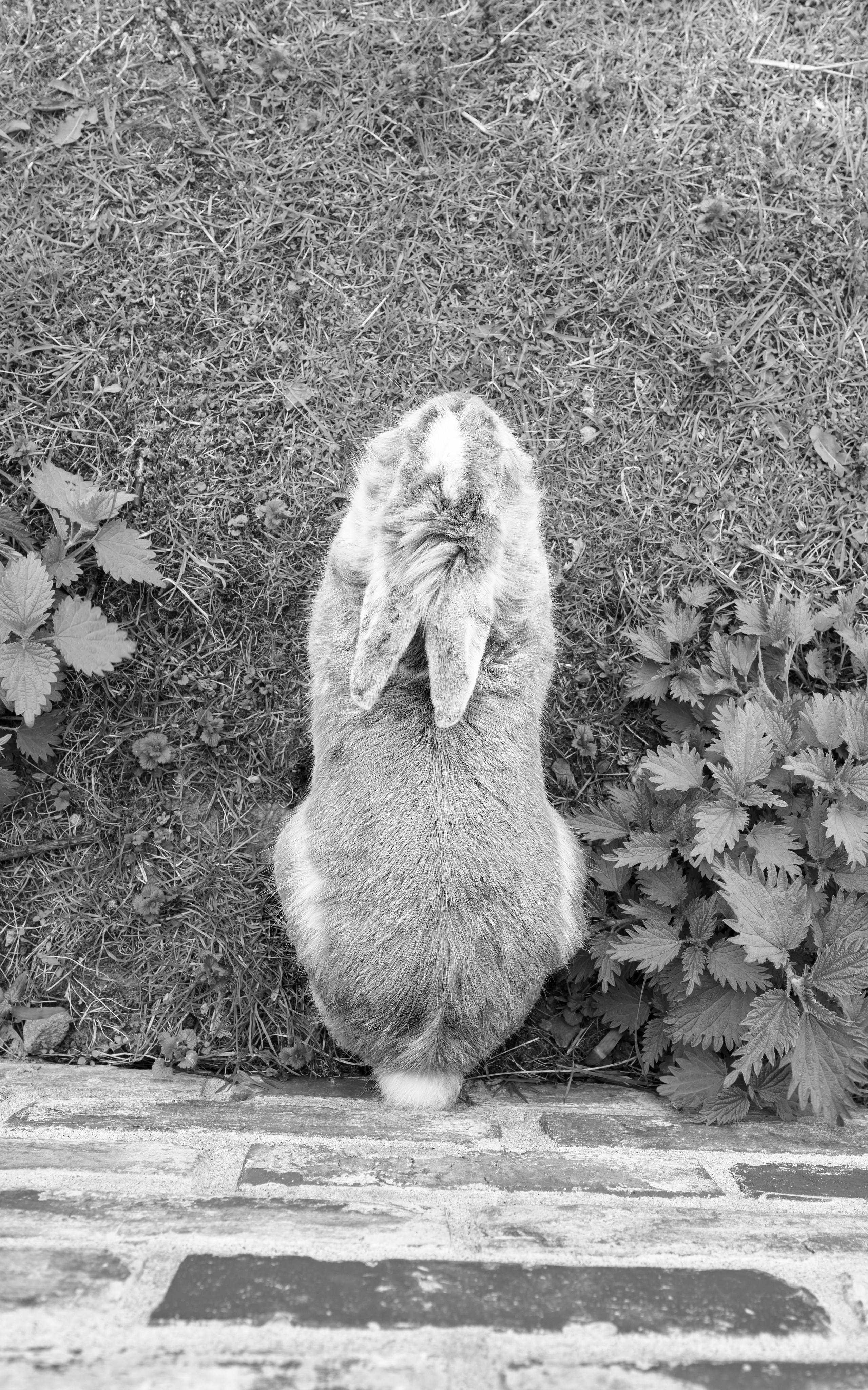 Калининград