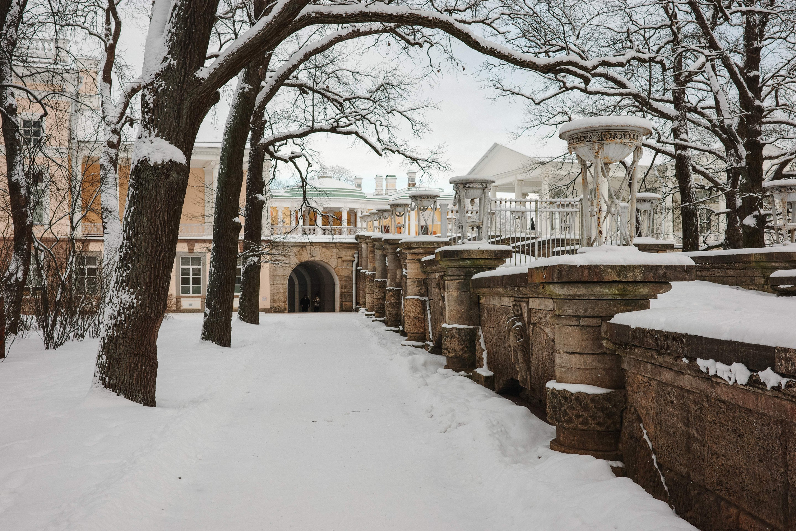 2025.02. Фотограф Алексей Алексеев