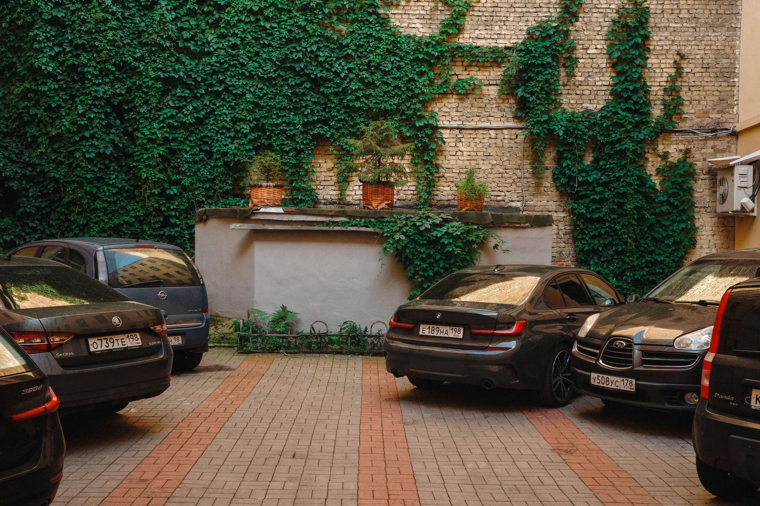 2024.07. Фотограф Алексей Алексеев