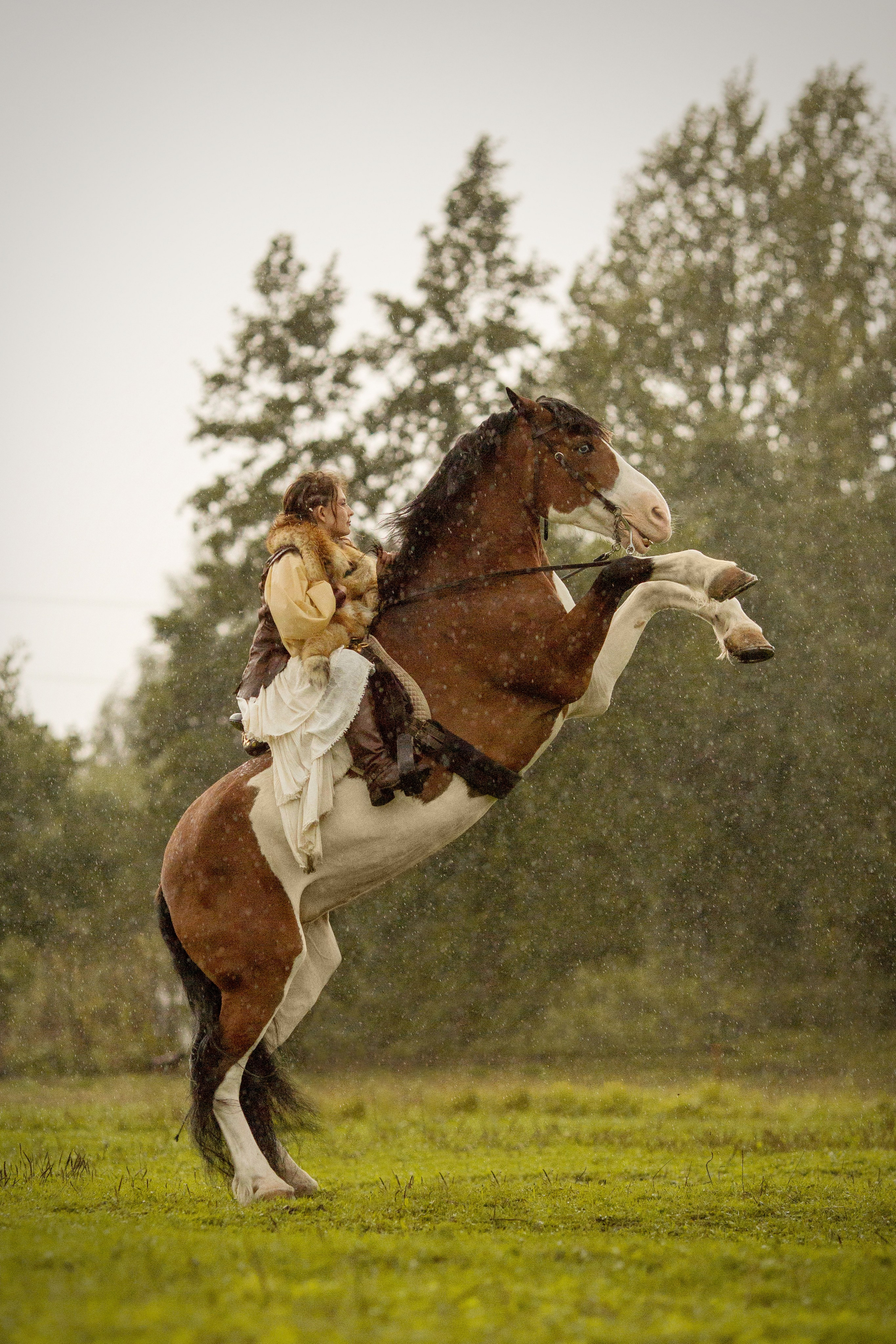 Фотосессия с лошадью в скандинавском стиле